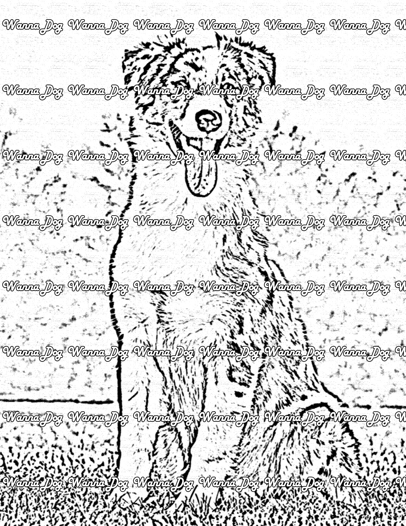 Australian Shepherd Coloring Page of a Australian Shepherd in grass, standing around with their tongue out