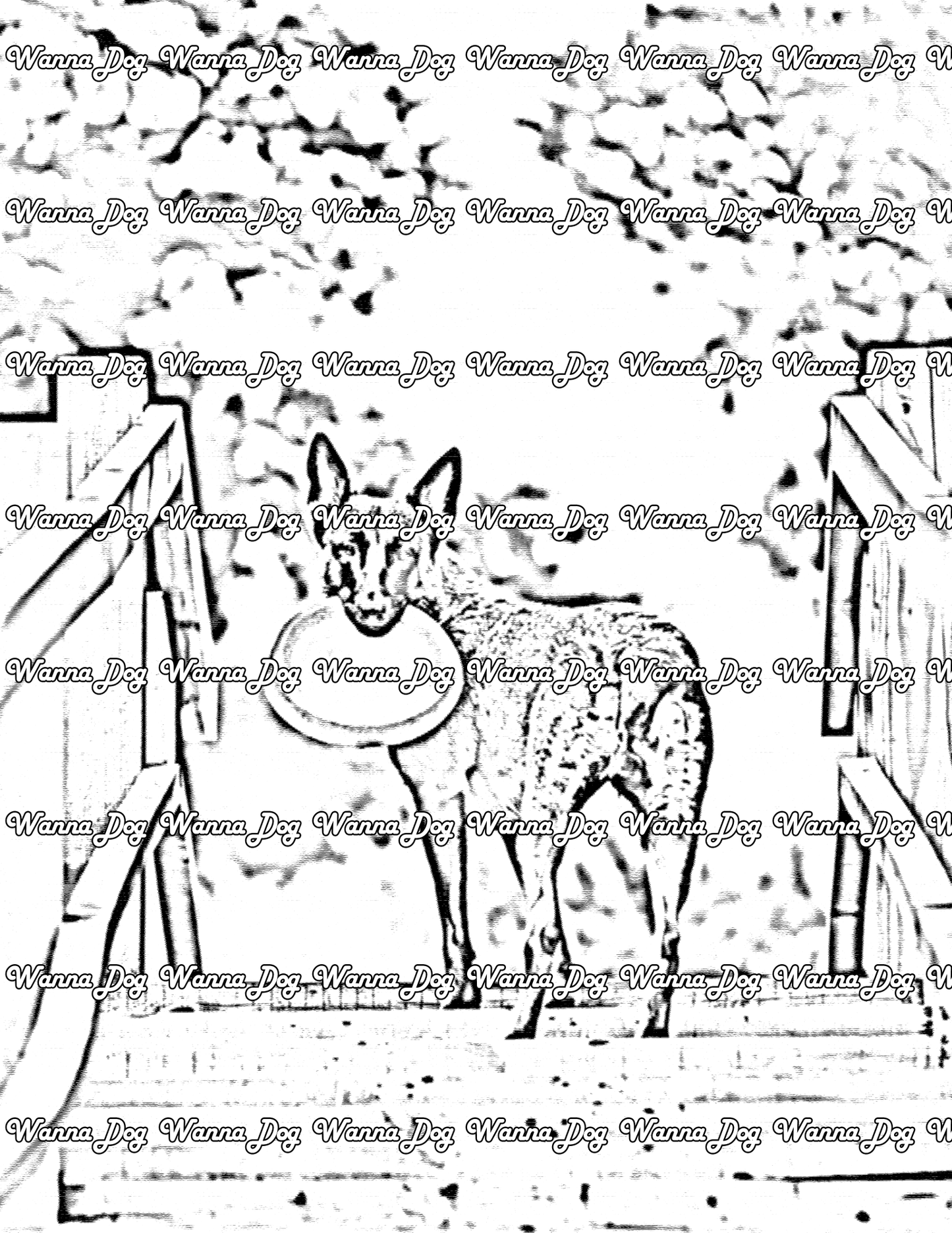 Belgian Malinois Coloring Page of a Belgian Malinois going up the steps with a frisbee