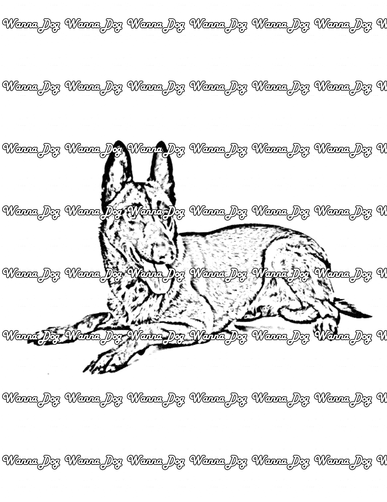 Belgian Malinois Coloring Page of a Belgian Malinois laying down with their tongue out