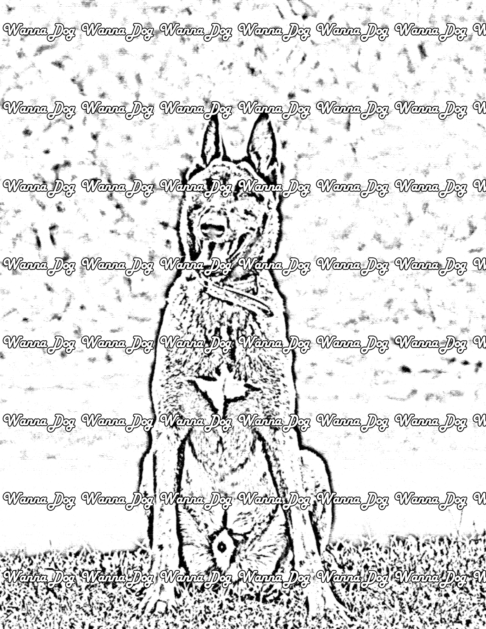 Belgian Malinois Coloring Page of a Belgian Malinois sitting in front of the water