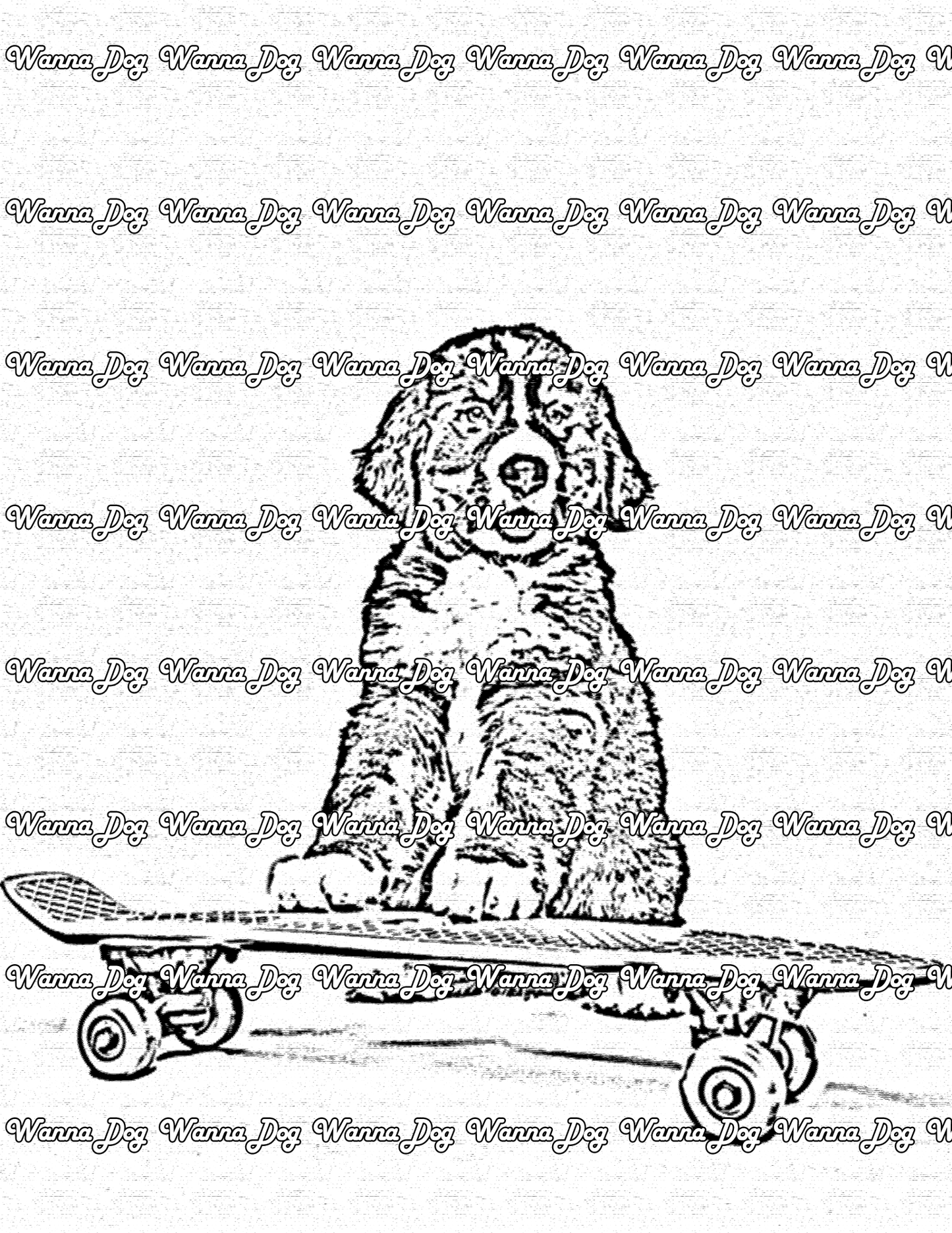 Bernese Mountain Dog Coloring Page of a Bernese Mountain Dog on a skateboard