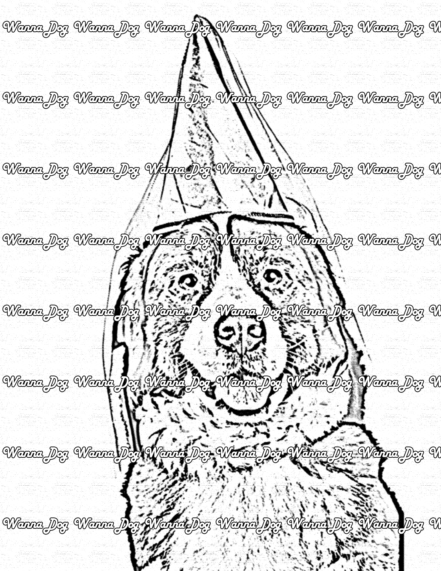 Bernese Mountain Dog Coloring Page of a Bernese Mountain Dog wearing a cone hat