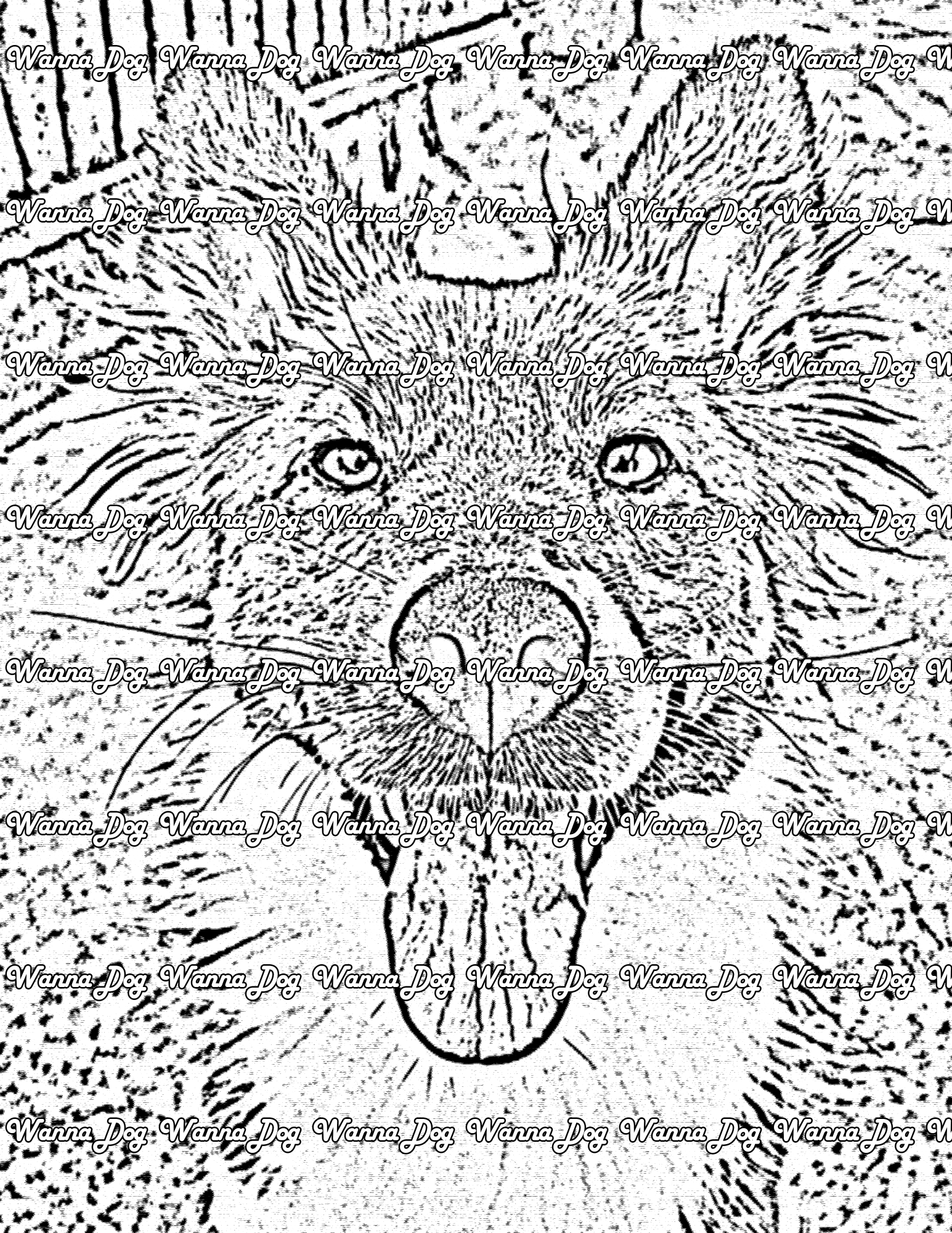 Border Collie Coloring Page of a Border Collie close up with their tongue out in the yard