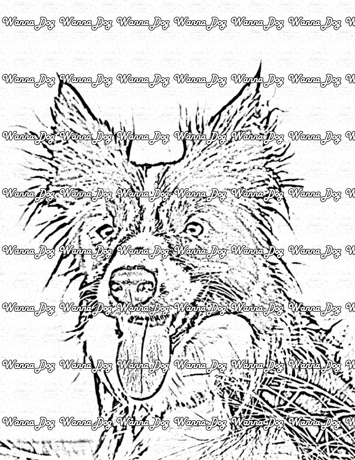 Border Collie Coloring Page of a Border Collie smiling with their tongue out