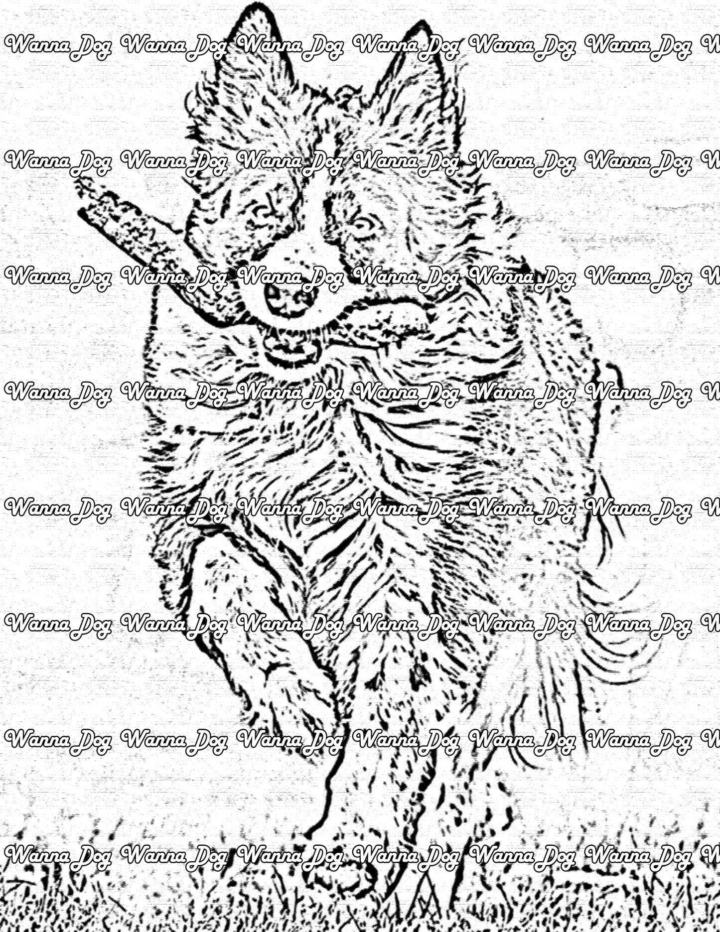 Border Collie Coloring Page of a Border Collie running with a stick