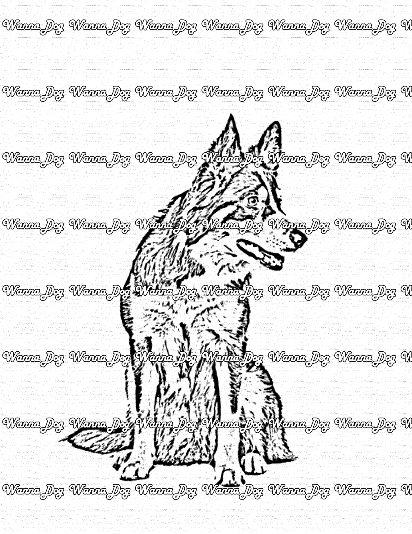 Border Collie Coloring Page of a Border Collie looking away from the camera