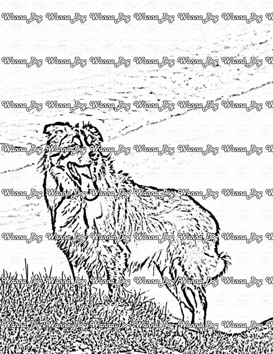 Border Collie Coloring Page of a Border Collie standing on a hill