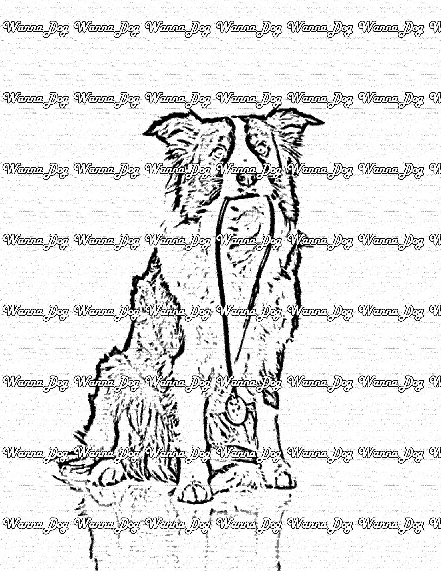 Border Collie Coloring Page of a Border Collie ready to play doctor