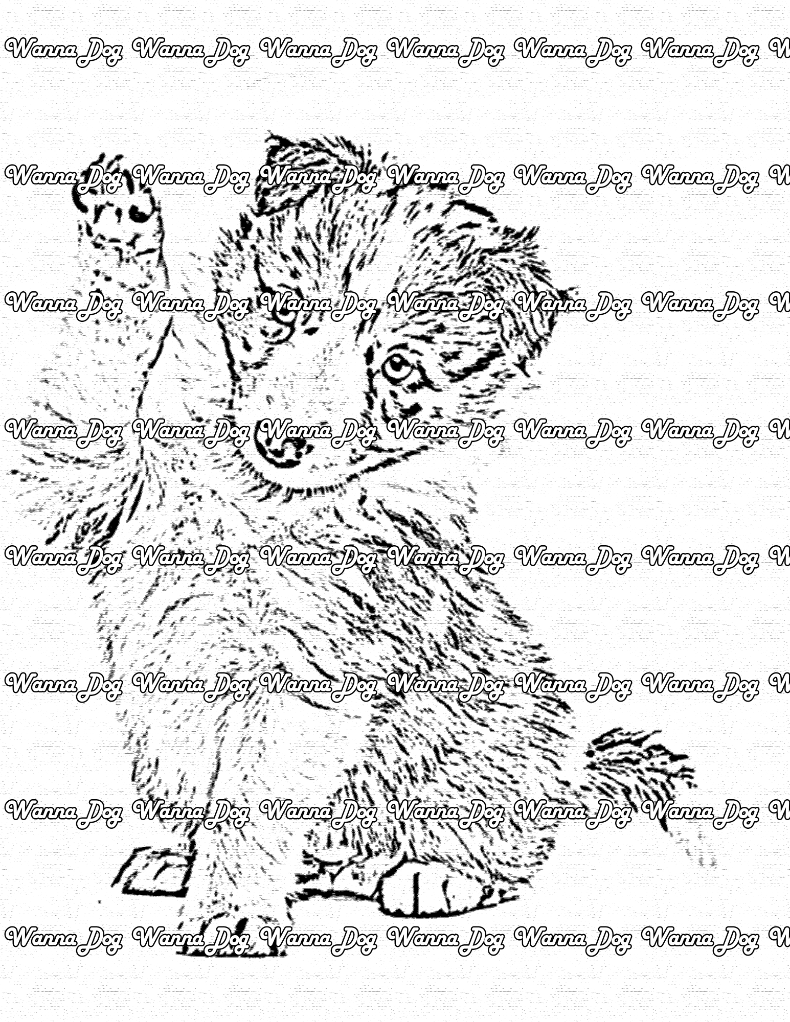 Border Collie Coloring Page of a Border Collie puppy with their paw up
