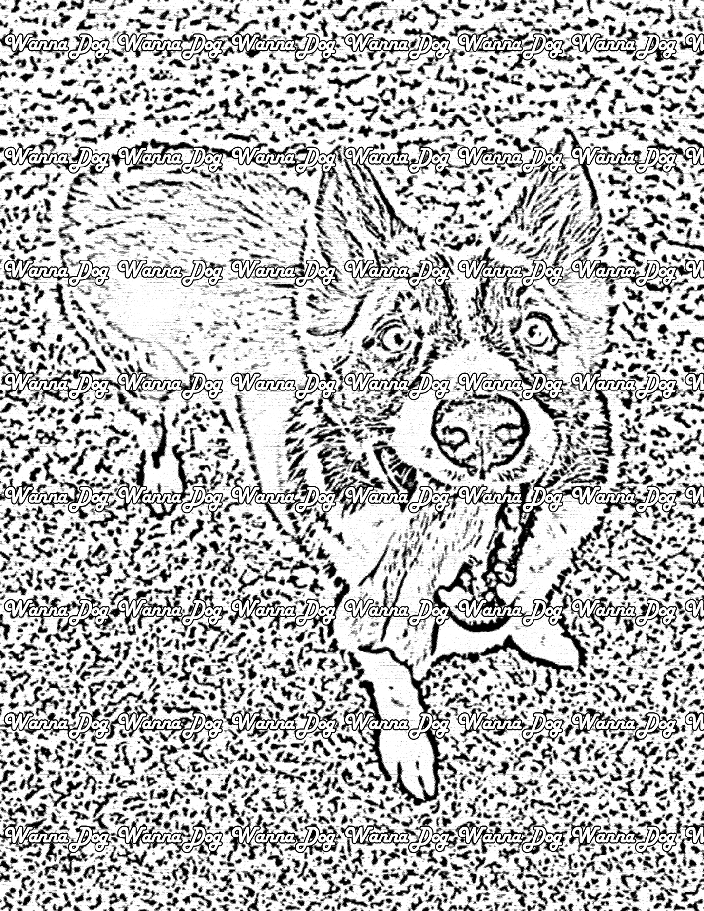 Border Collie Coloring Page of a Border Collie looking up at the camera with their tongue out