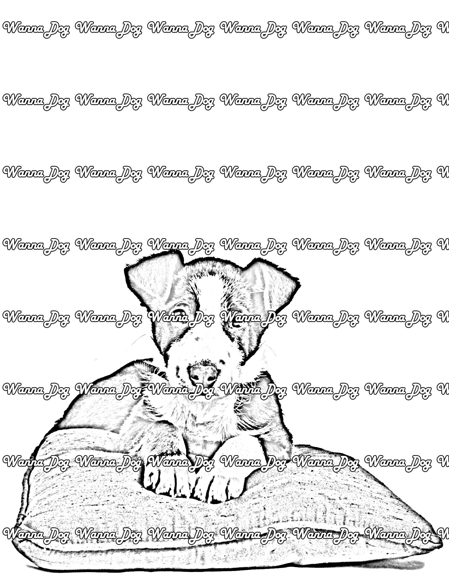 Border Collie Puppy Coloring Page of a Border Collie Puppy sitting on a cushion