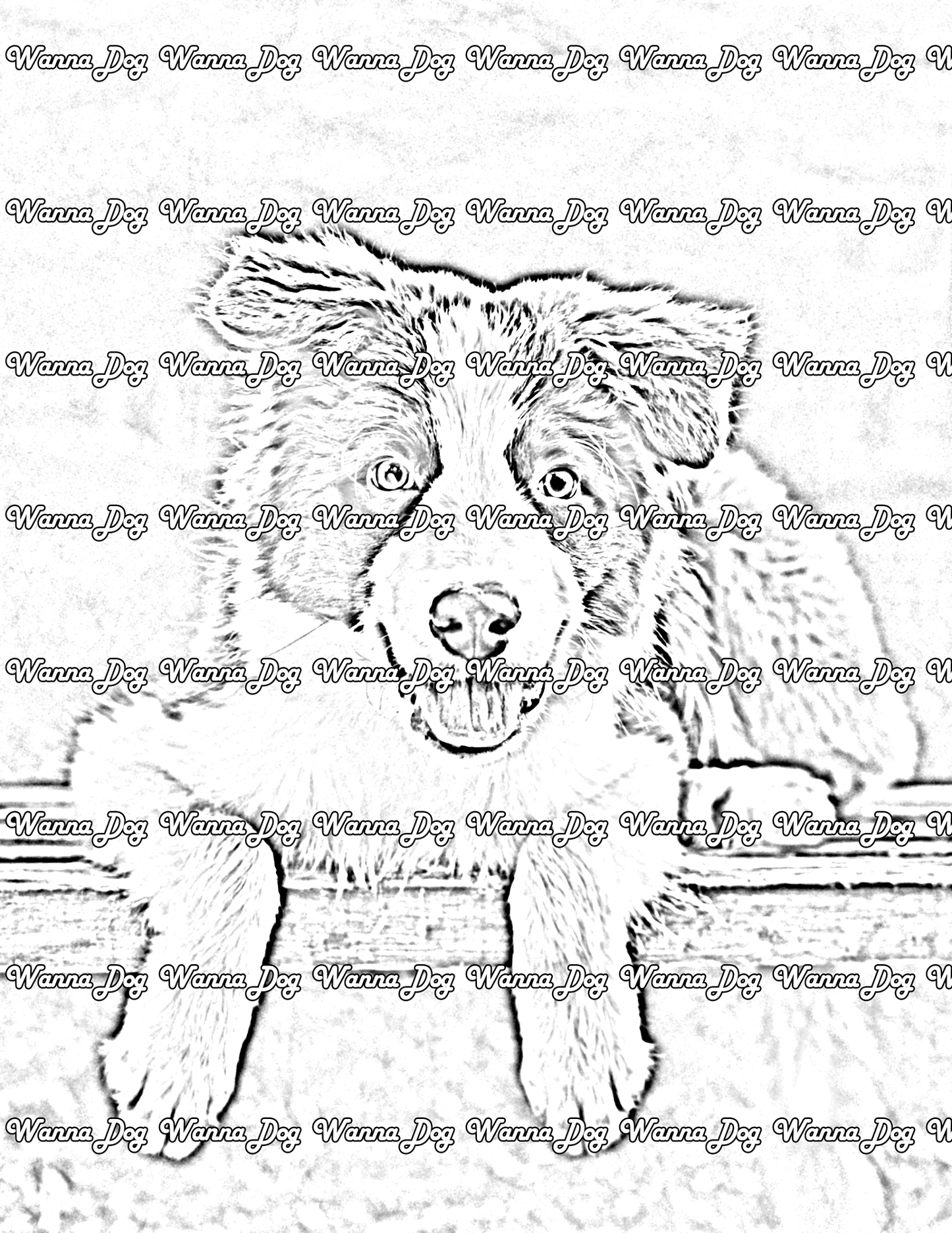 Border Collie Puppy Coloring Page of a Border Collie Puppy sitting on a bench