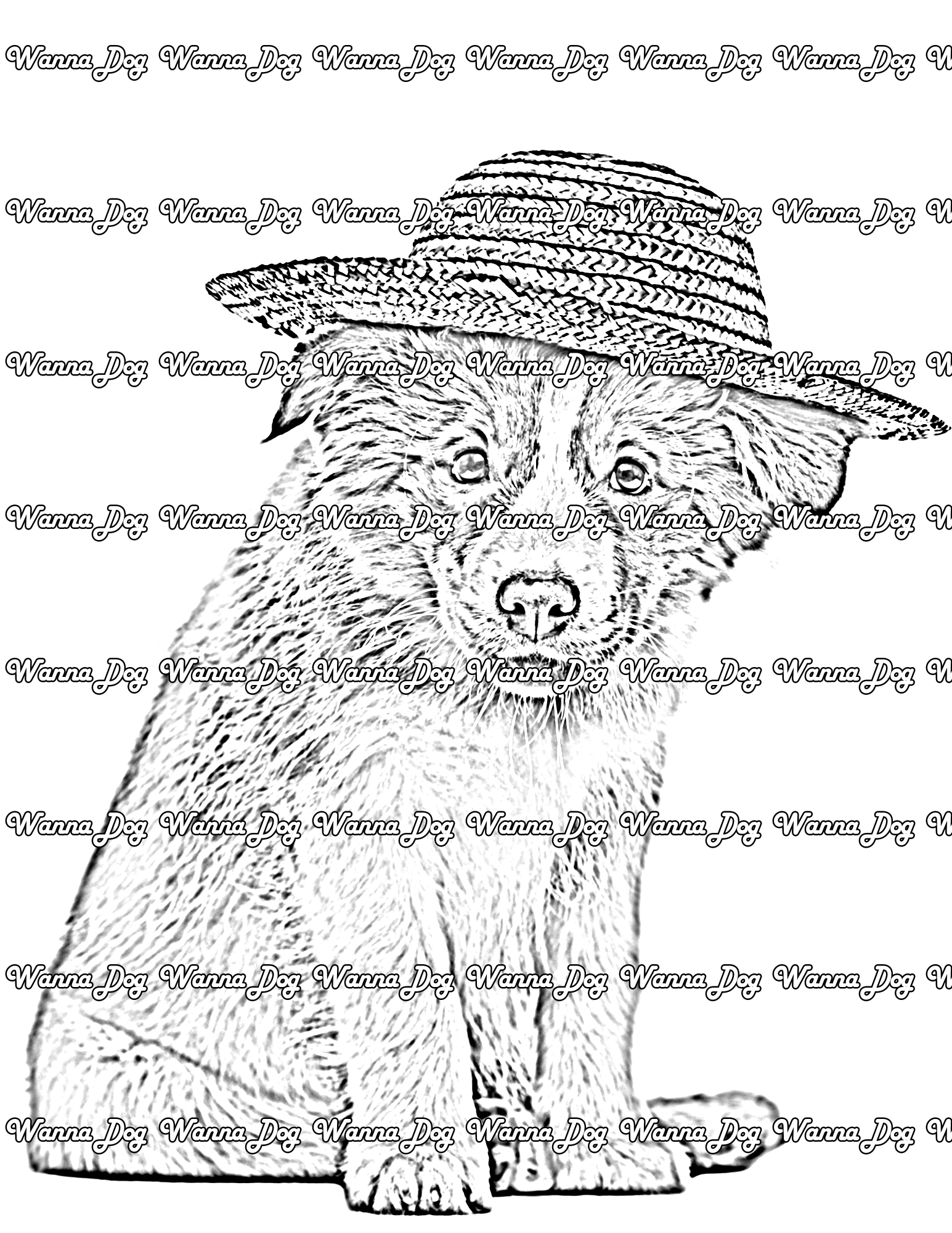 Border Collie Puppy Coloring Page of a Border Collie Puppy wearing a straw hat