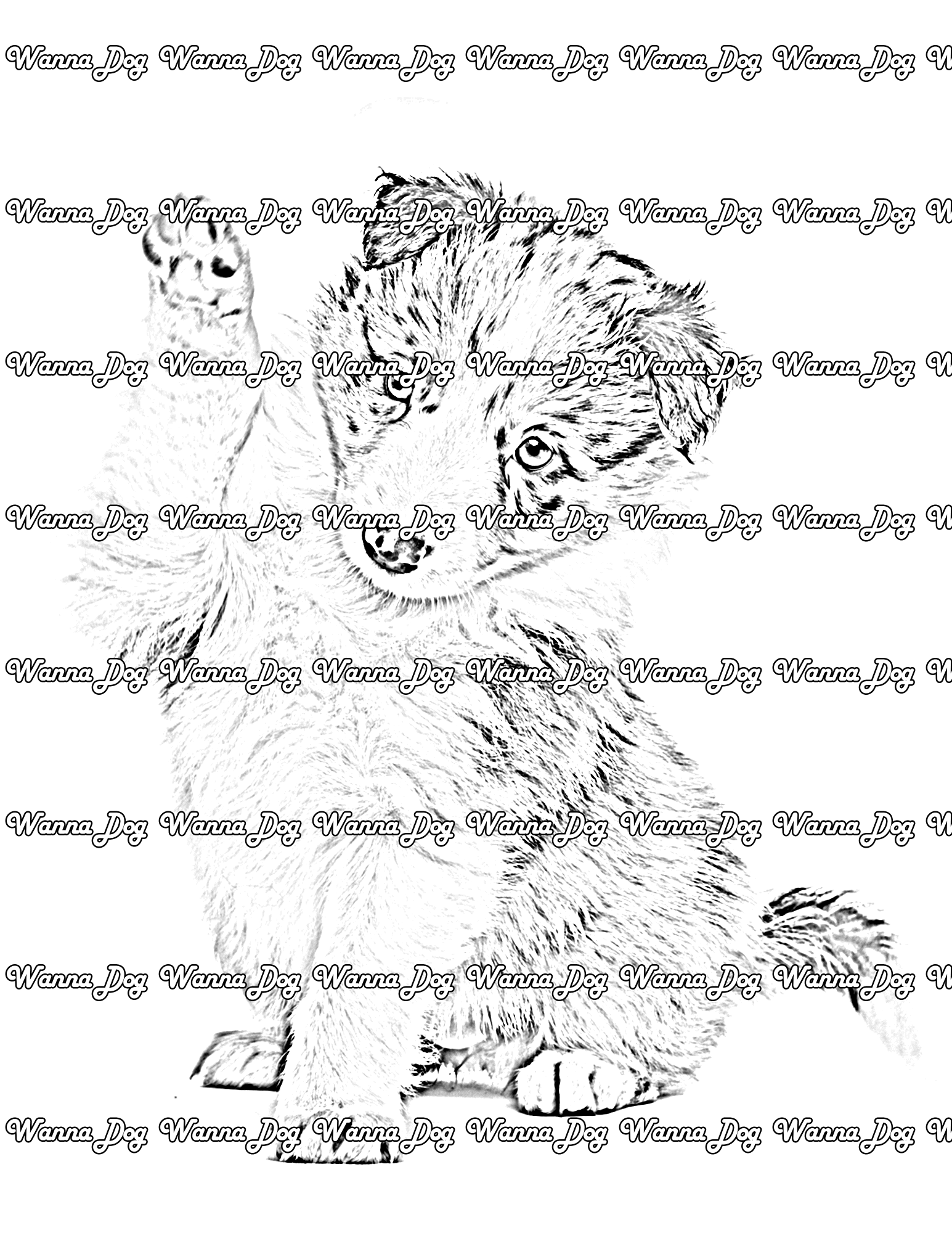 Border Collie Puppy Coloring Page of a Border Collie Puppy waving