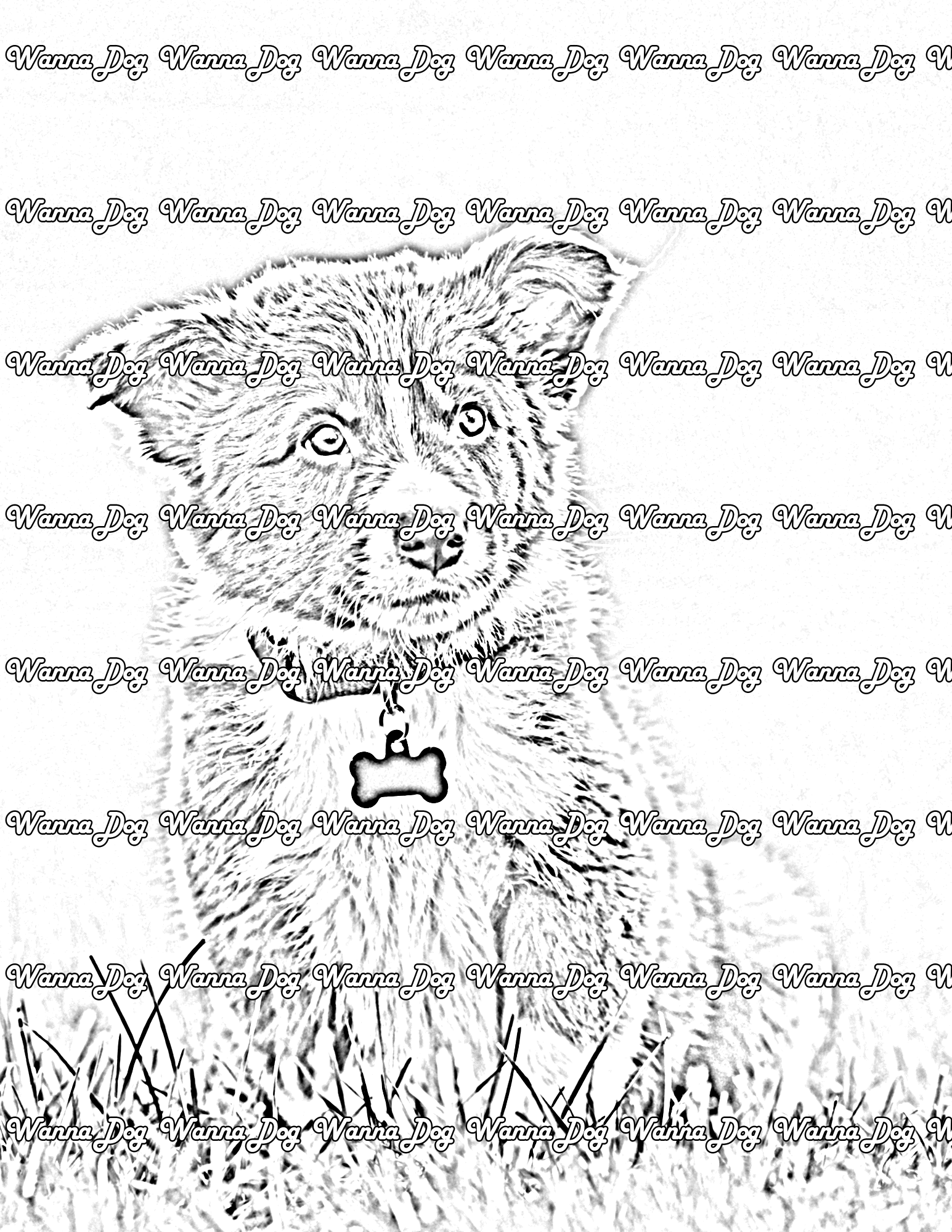 Border Collie Puppy Coloring Page of a Border Collie Puppy sitting in the grass