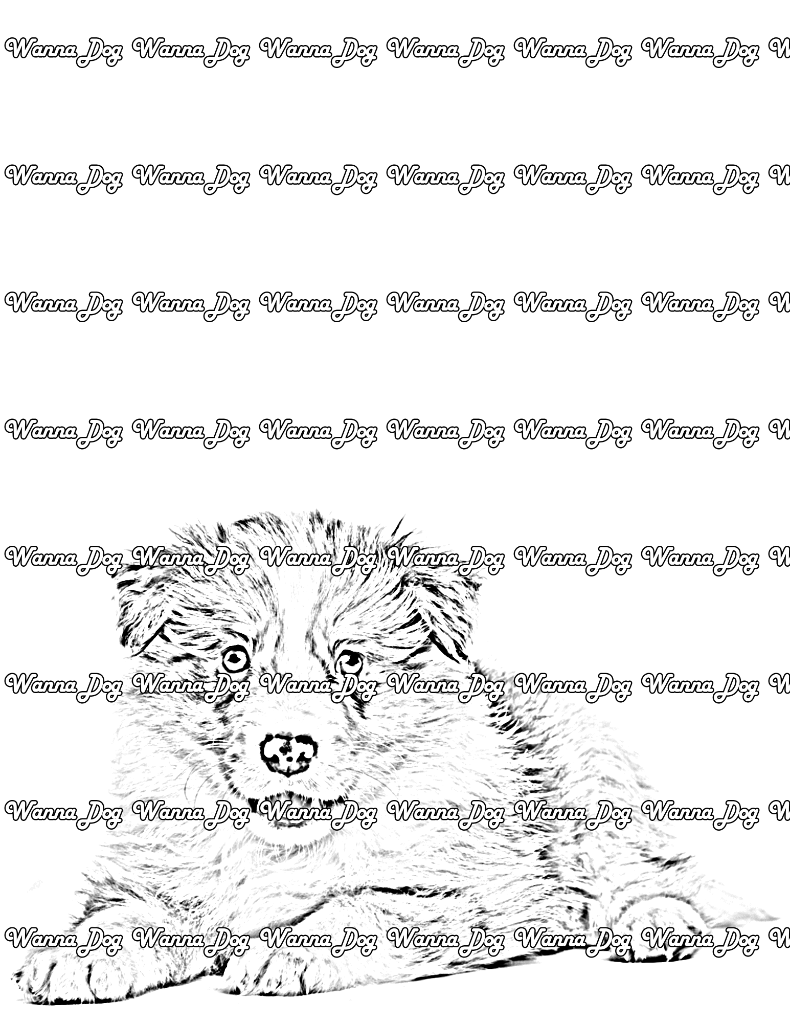 Border Collie Puppy Coloring Page of a Border Collie Puppy laying down