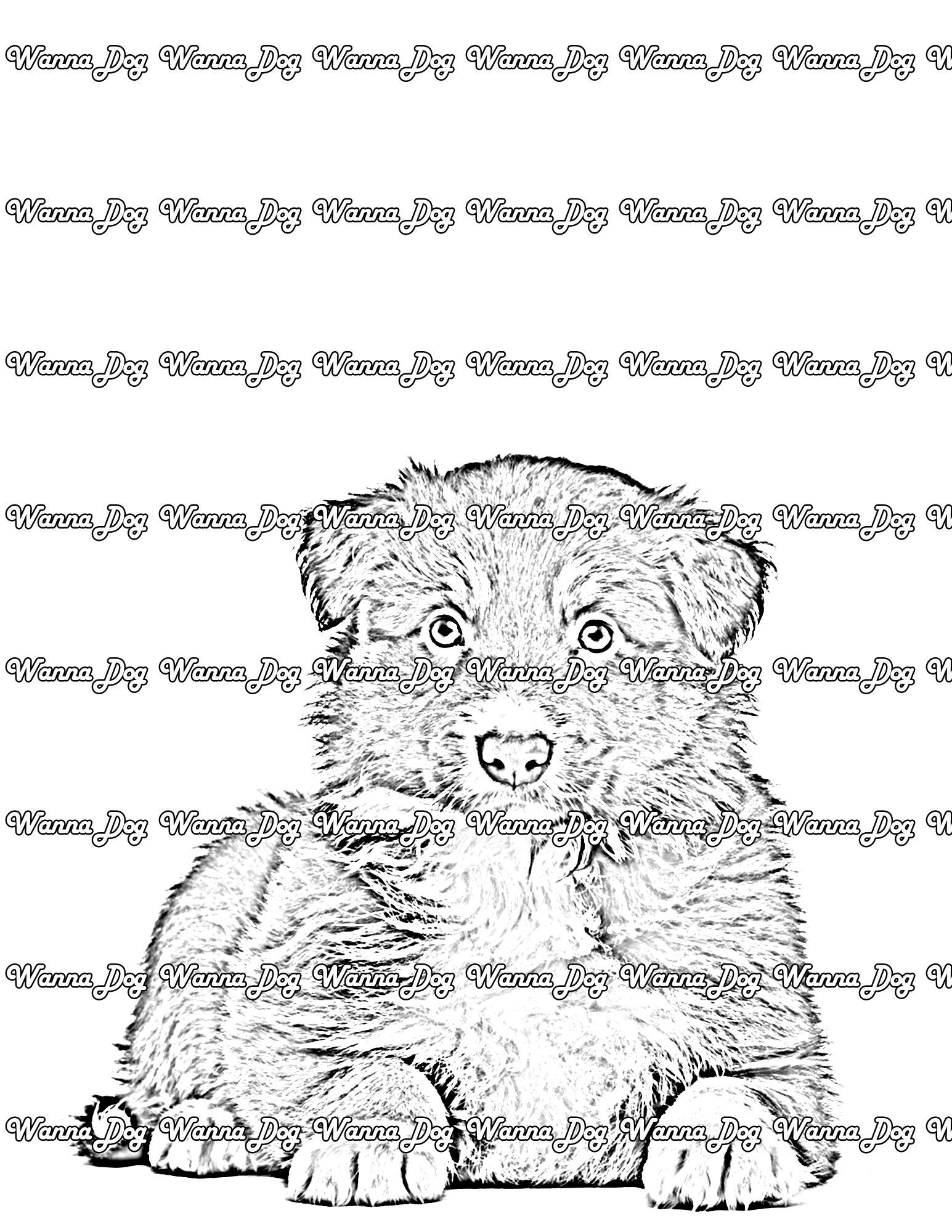 Border Collie Puppy Coloring Page of a Border Collie Puppy sitting down and waiting for a treat