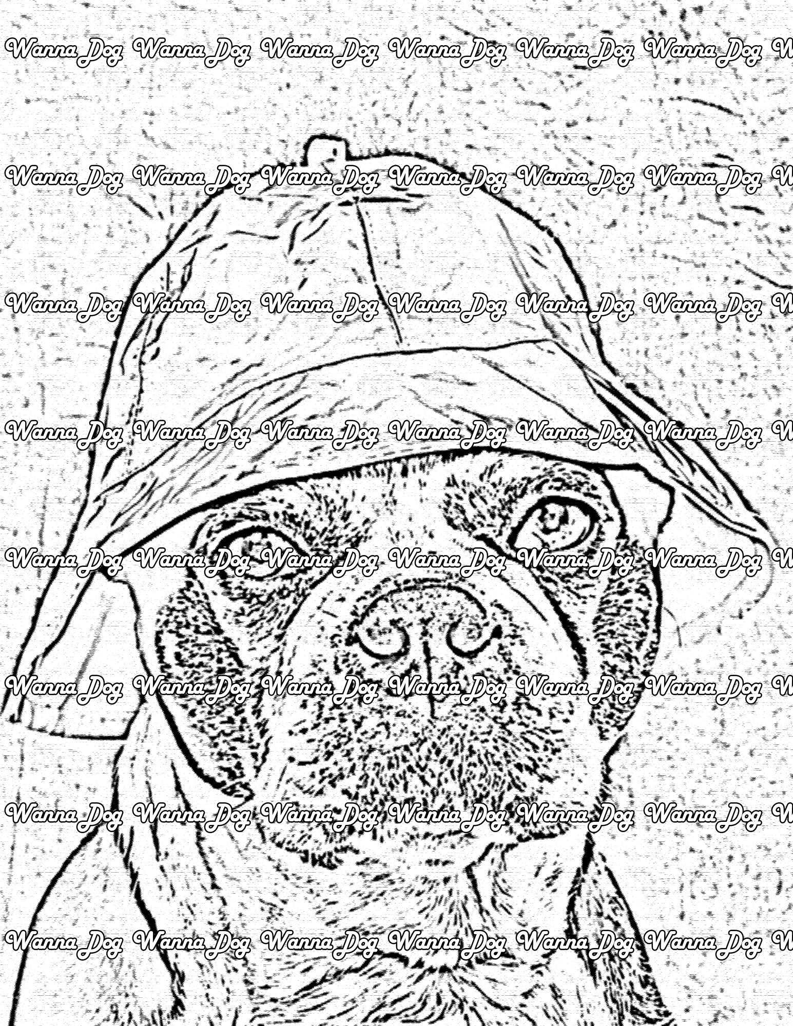 Boston Terrier Coloring Page of a Boston Terrier in a hat