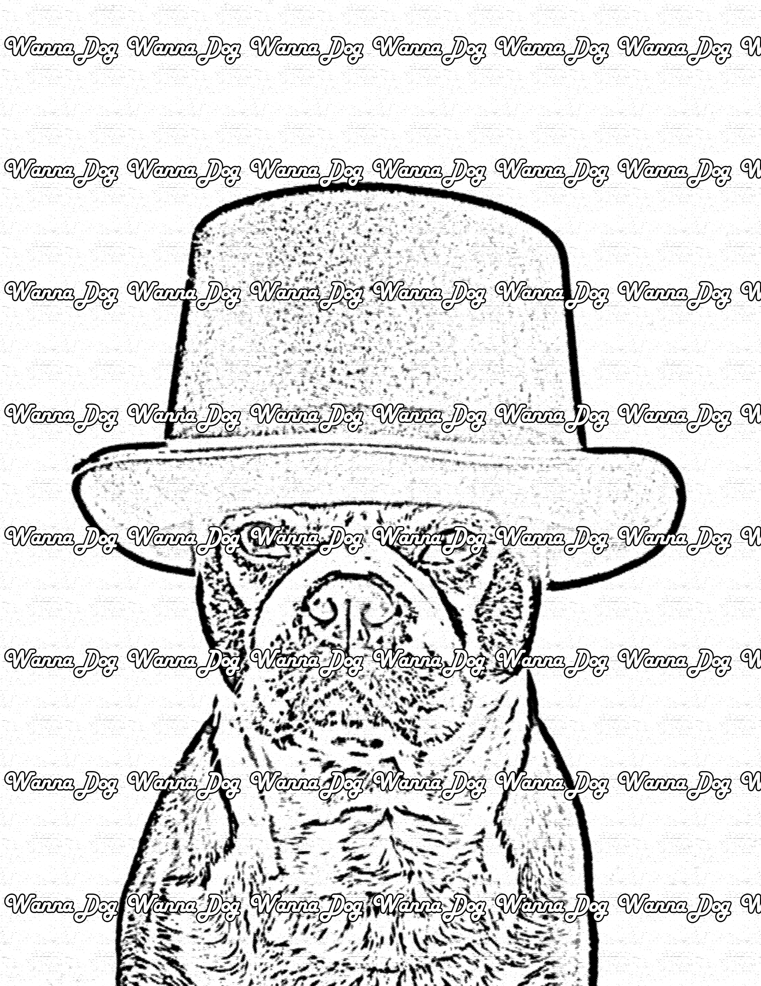 Boston Terrier Coloring Page of a Boston Terrier wearing a top hat