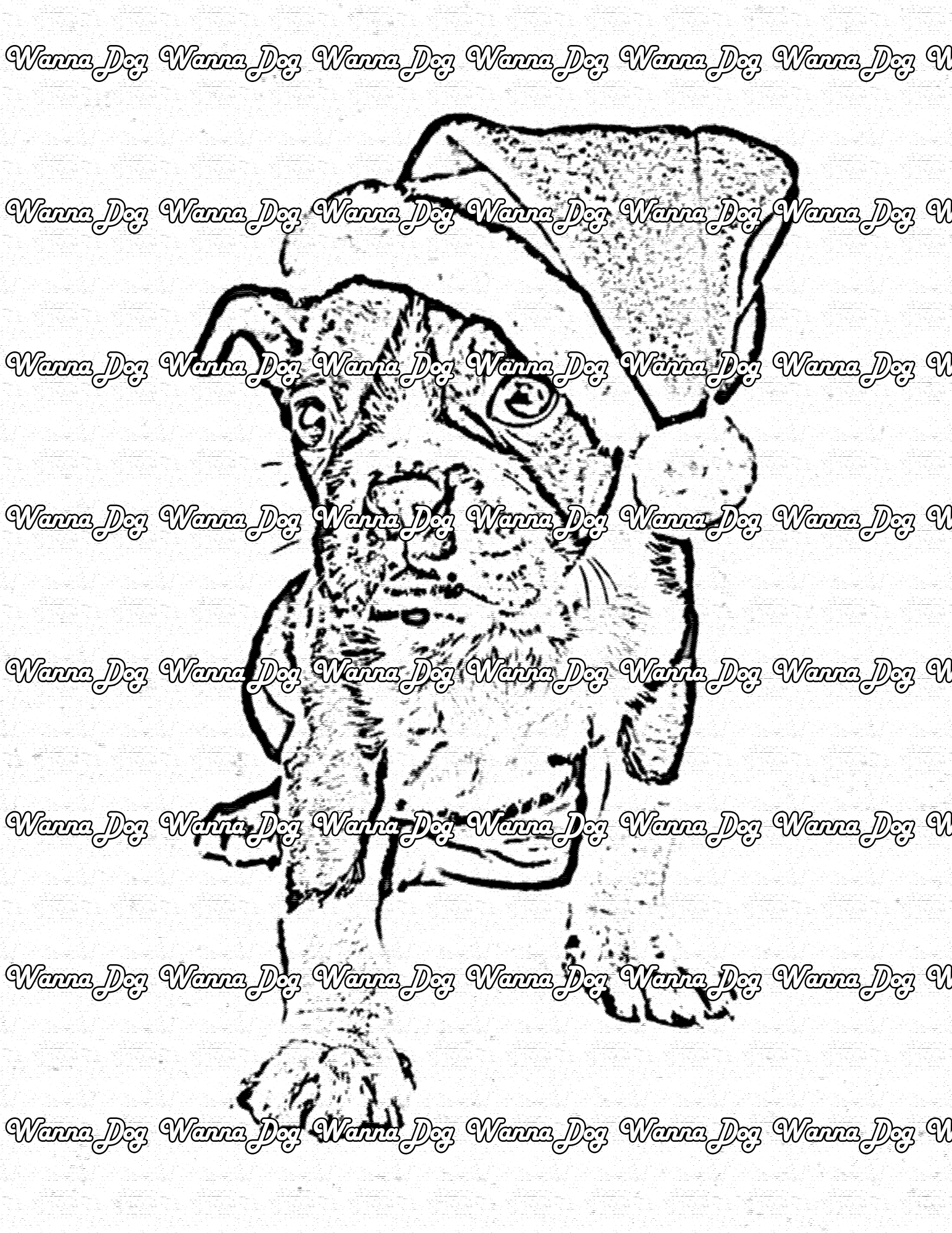 Boston Terrier Coloring Page of a Boston Terrier wearing a santa hat