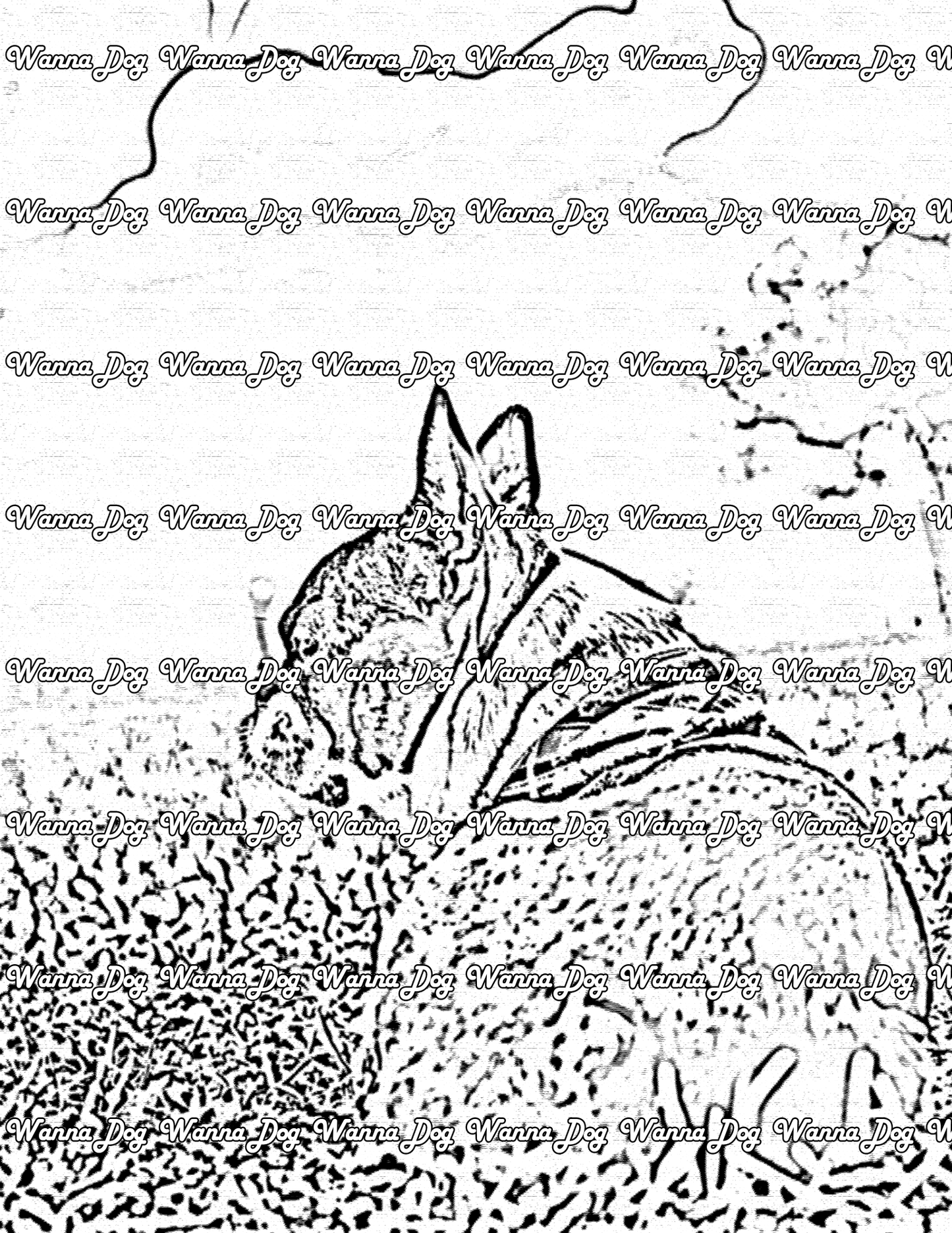 Boston Terrier Coloring Page of a Boston Terrier outside enjoying the view