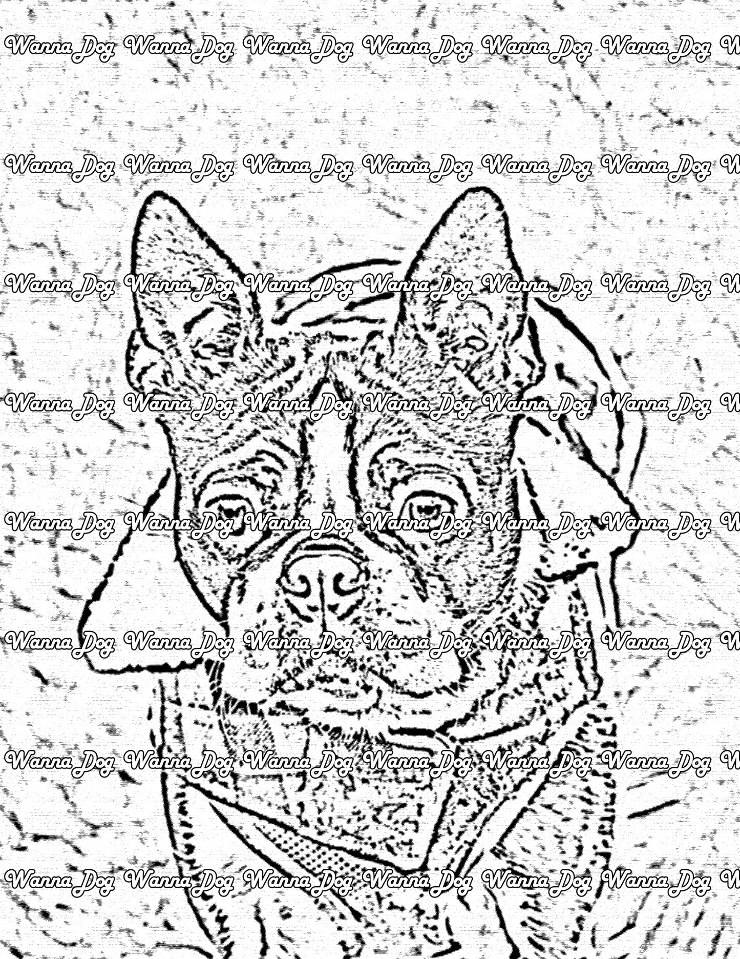 Boston Terrier Coloring Page of a Boston Terrier on a hike