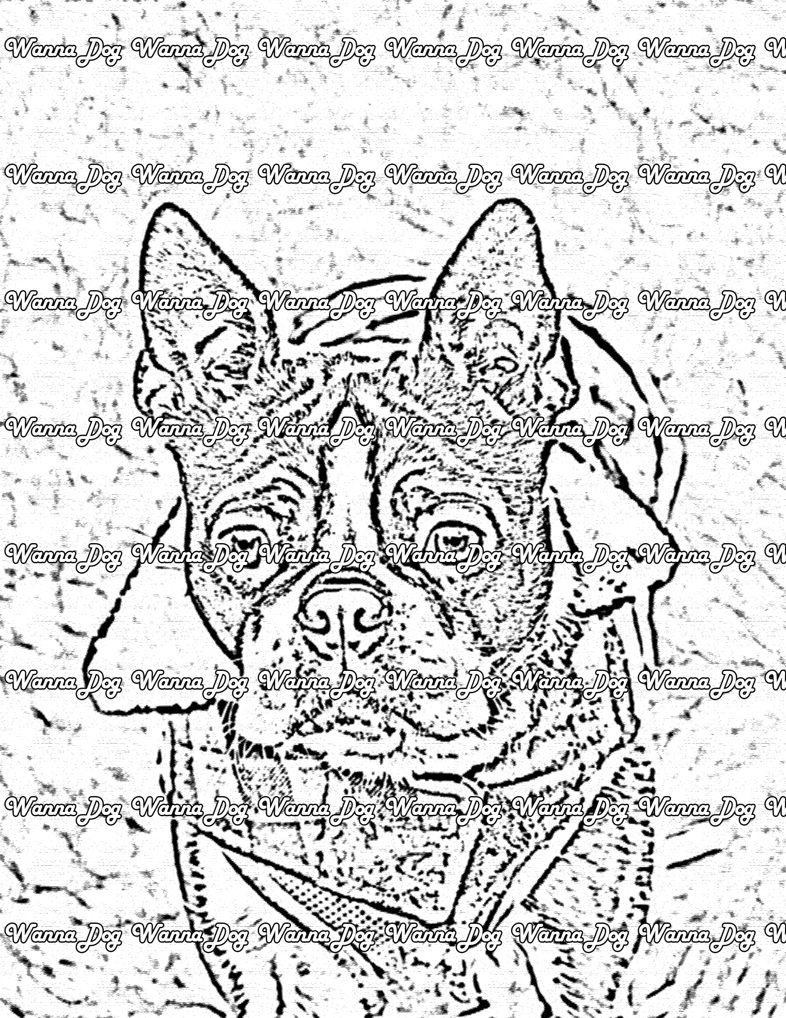 Boston Terrier Coloring Page of a Boston Terrier on a hike