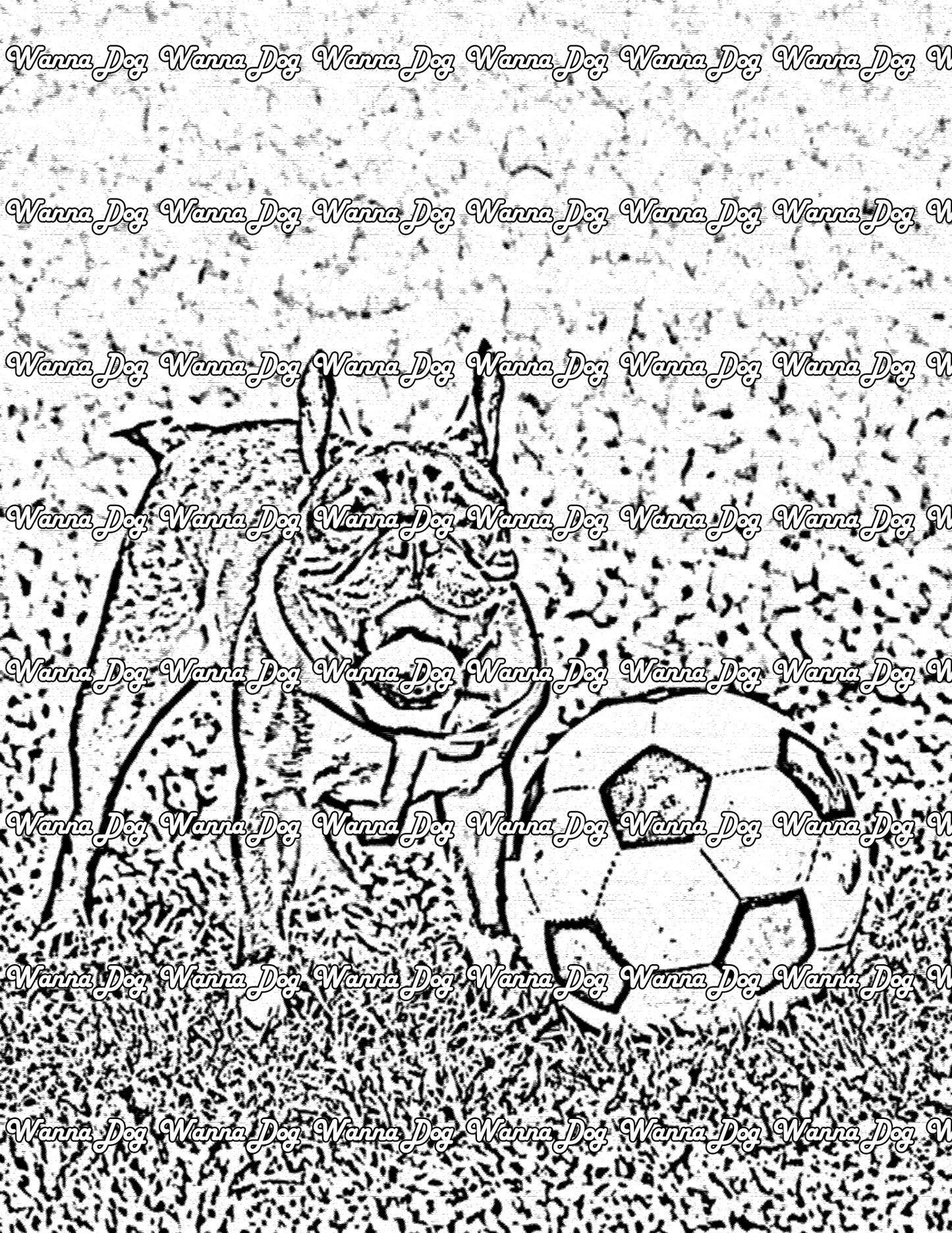 Boston Terrier Coloring Page of a Boston Terrier playing soccer