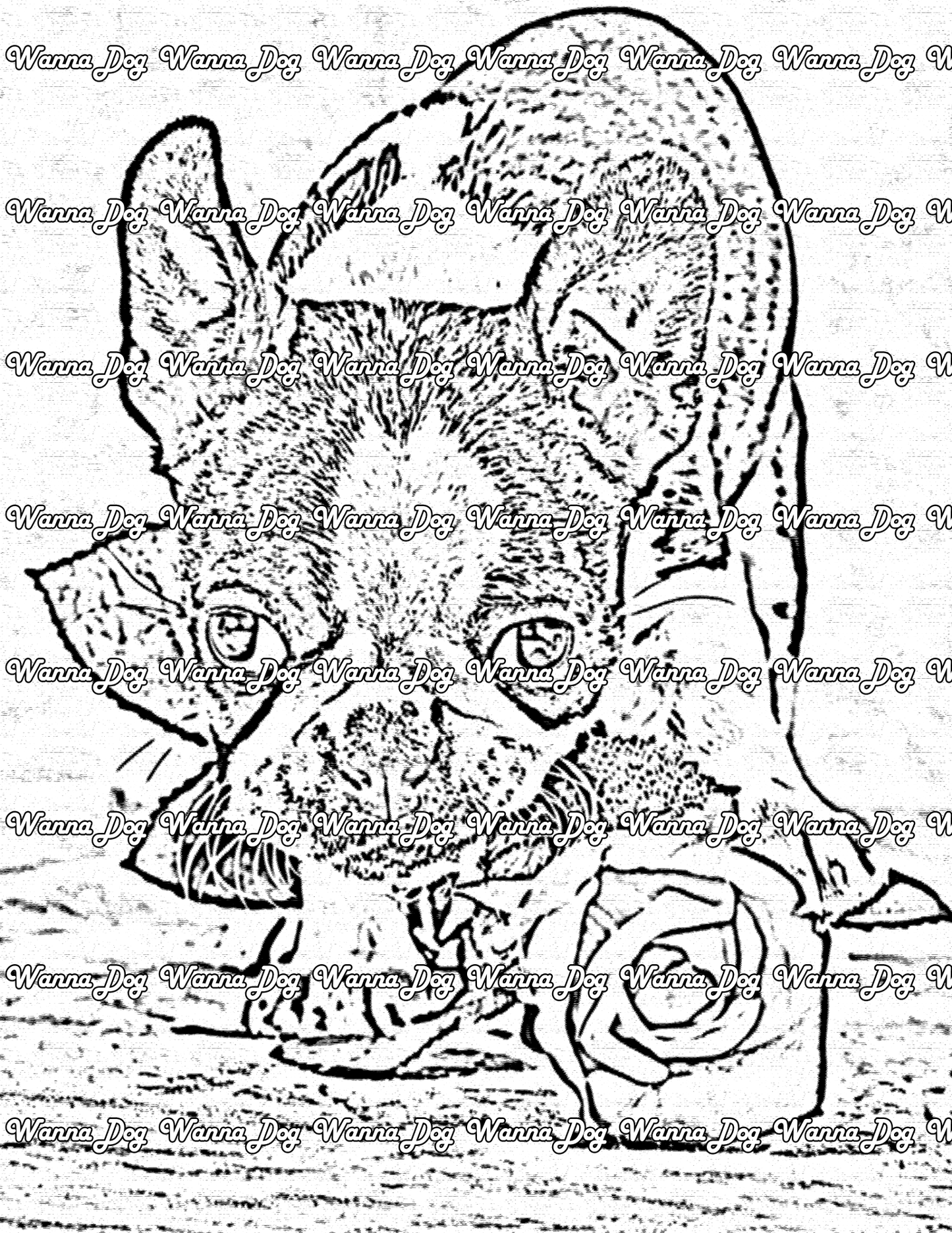 Boston Terrier Coloring Page of a Boston Terrier with a rose