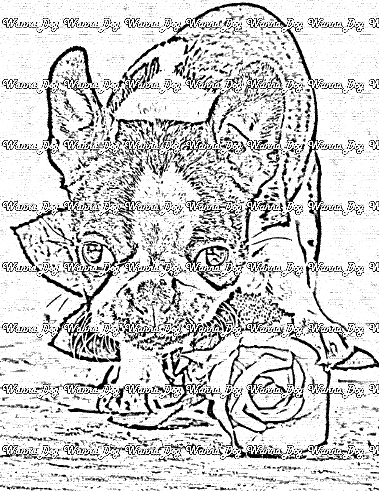 Boston Terrier Coloring Page of a Boston Terrier with a rose