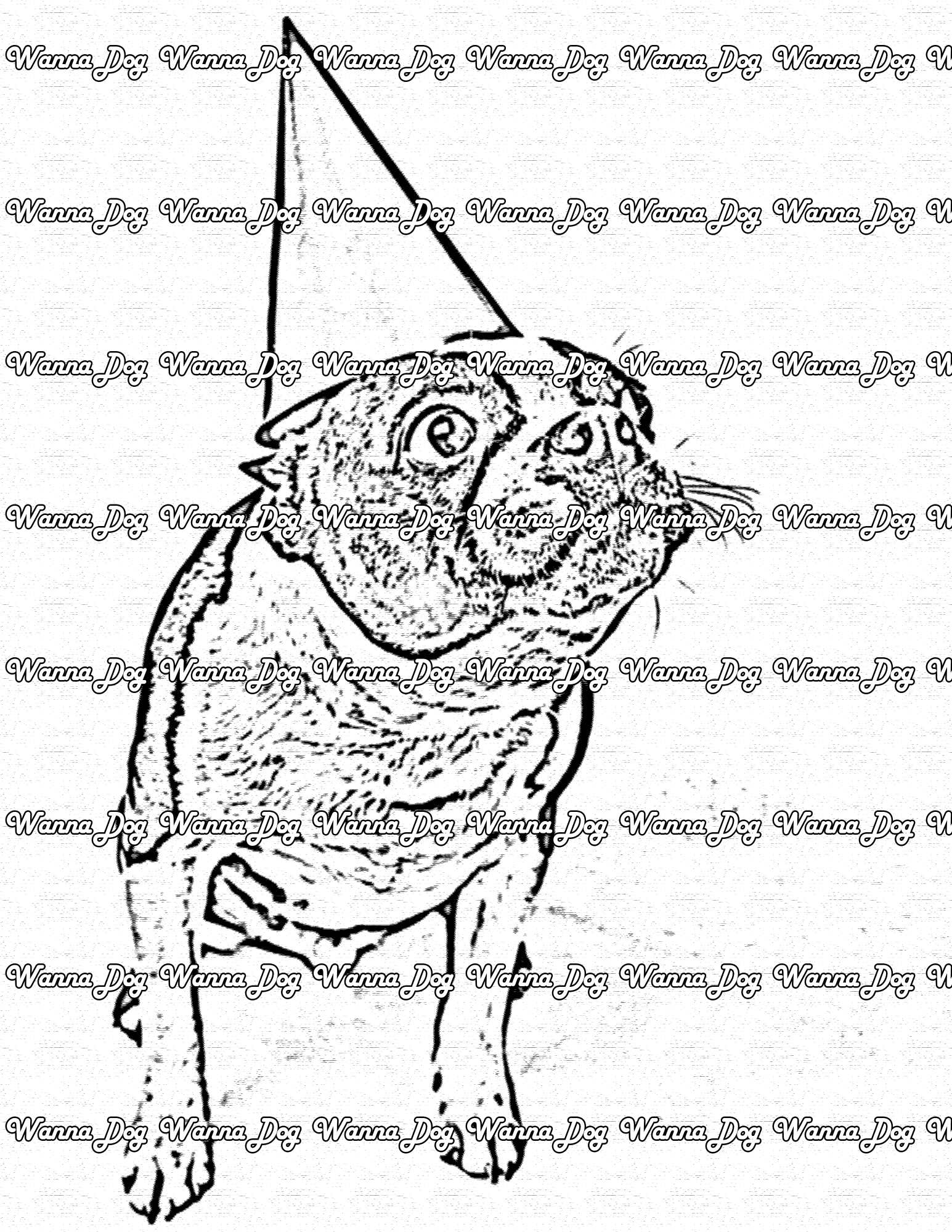 Boston Terrier Coloring Page of a Boston Terrier wearing a large hat