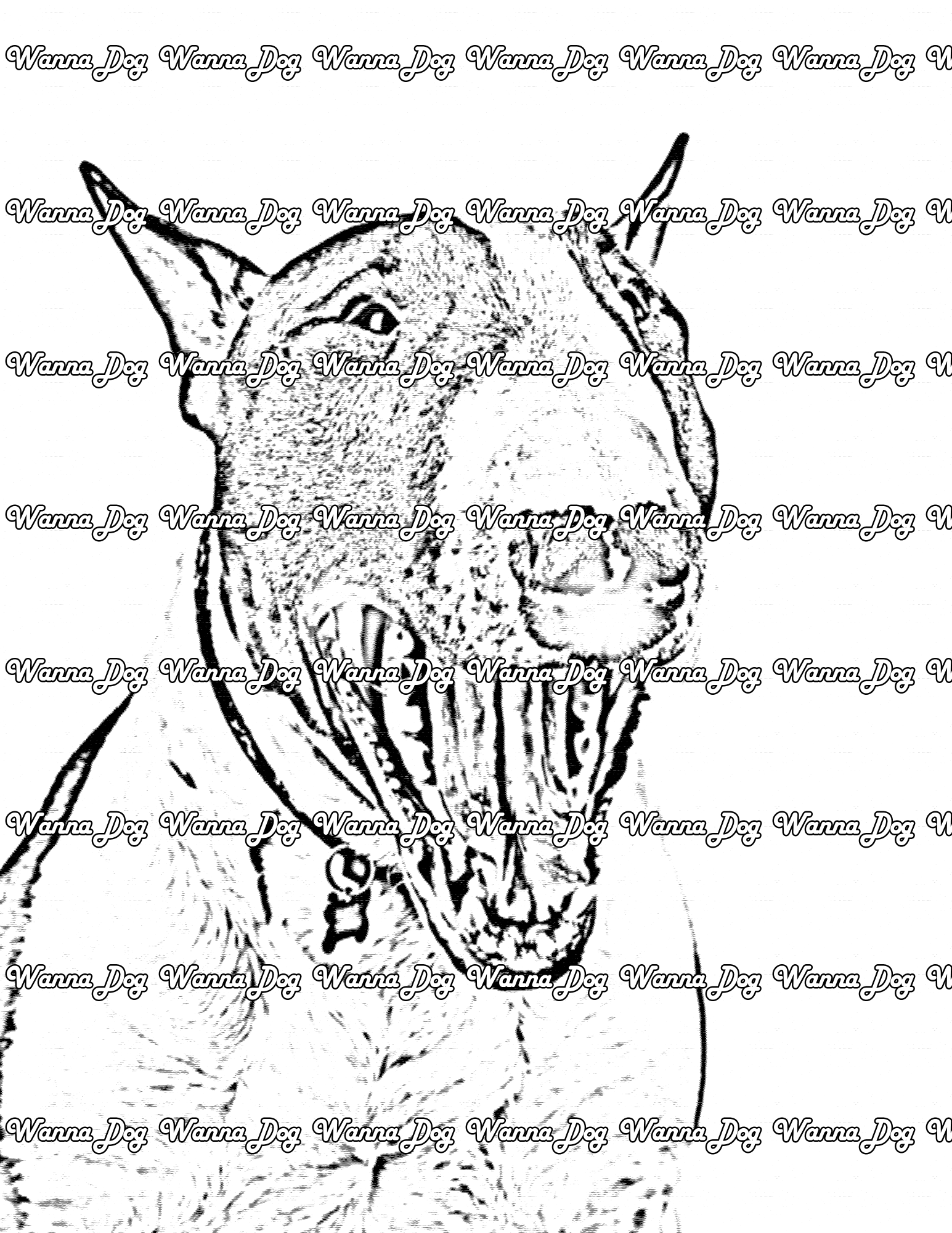 Bull Terrier Coloring Page of a Bull Terrier with their mouth open
