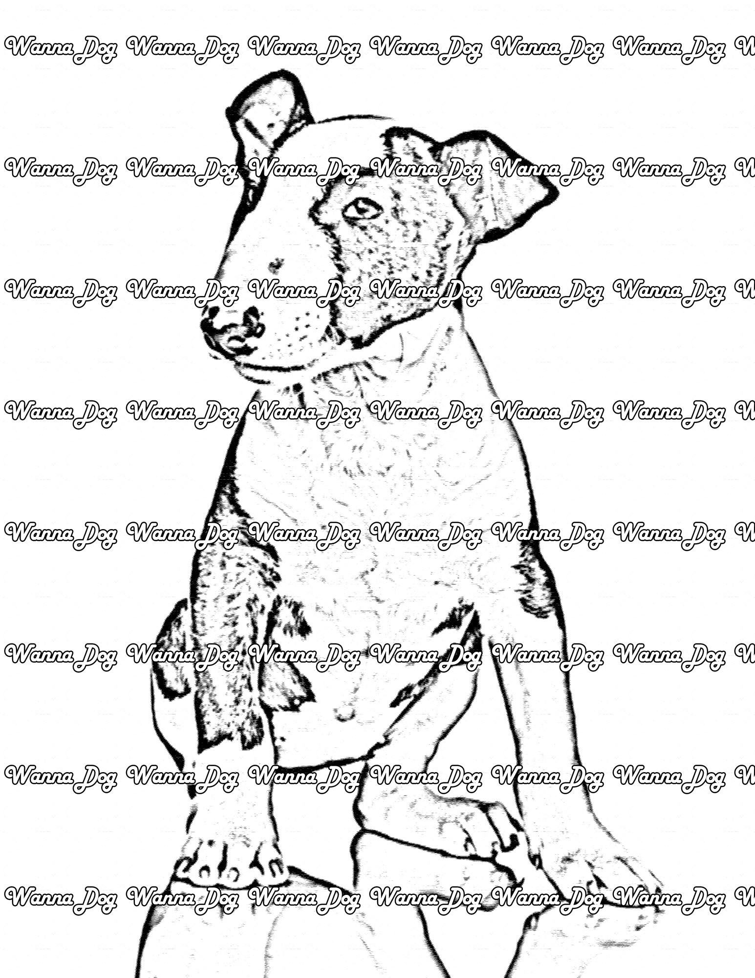 Bull Terrier Coloring Page of a Bull Terrier sitting and looking away from the camera