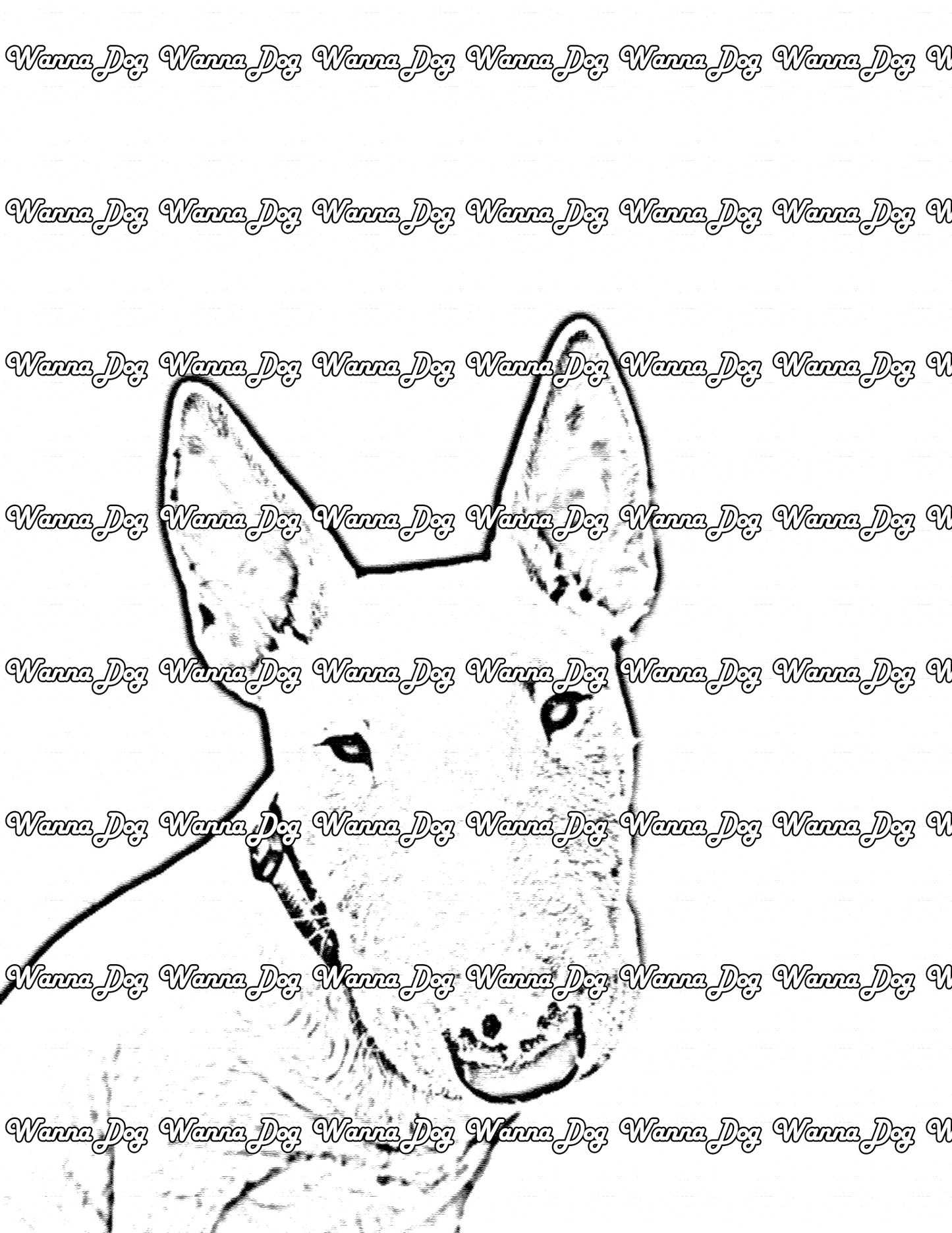 Bull Terrier Coloring Page of a Bull Terrier with ears up