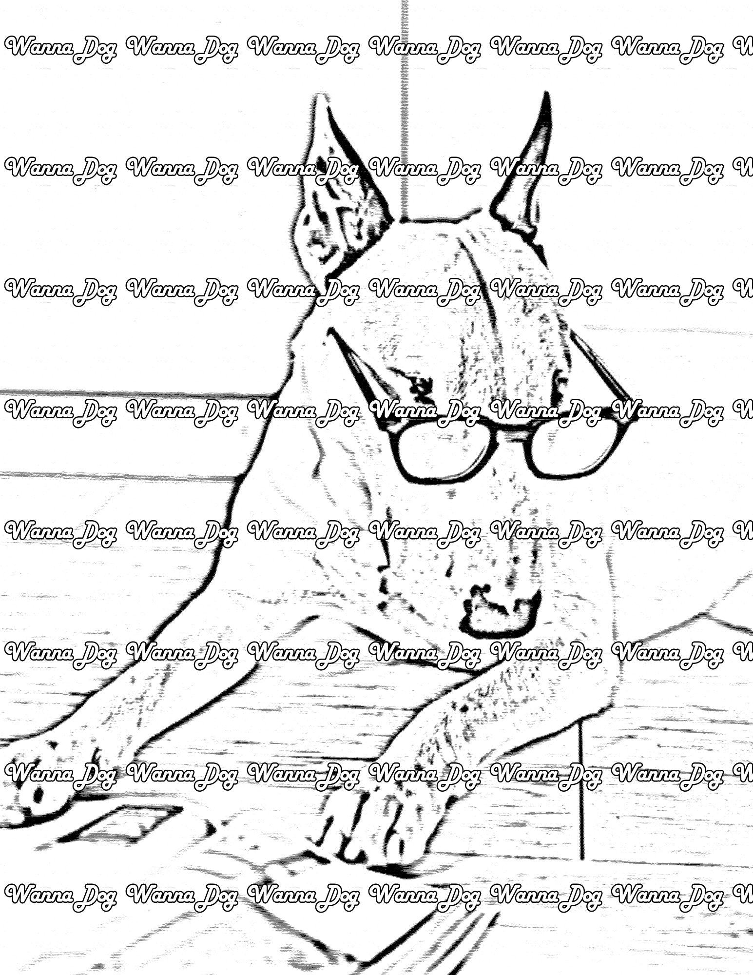 Bull Terrier Coloring Page of a Bull Terrier wearing glasses and reading