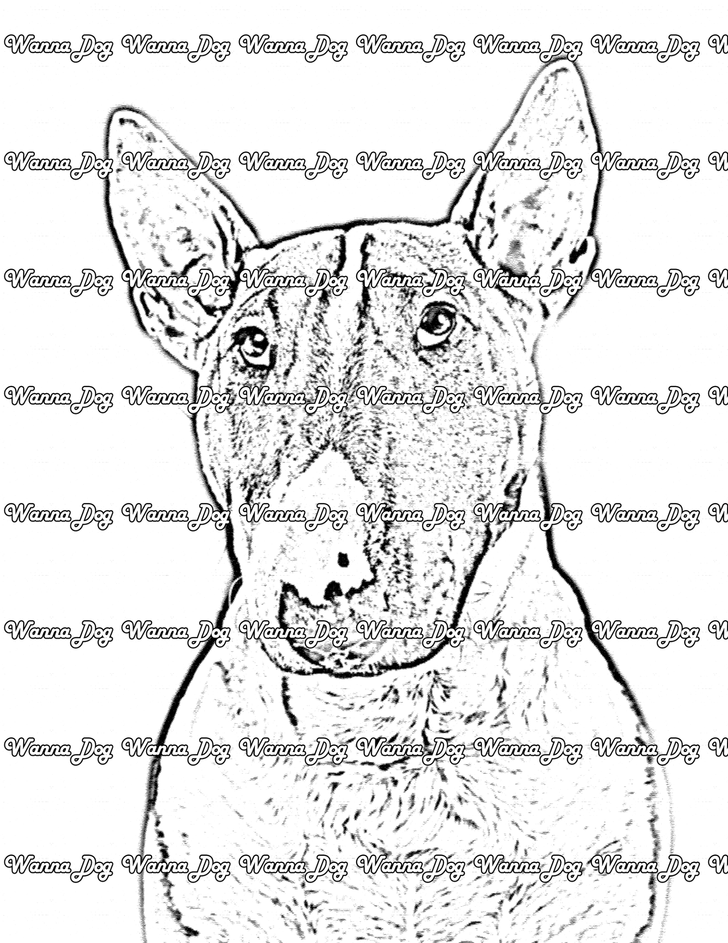 Bull Terrier Coloring Page of a Bull Terrier close up and looking up