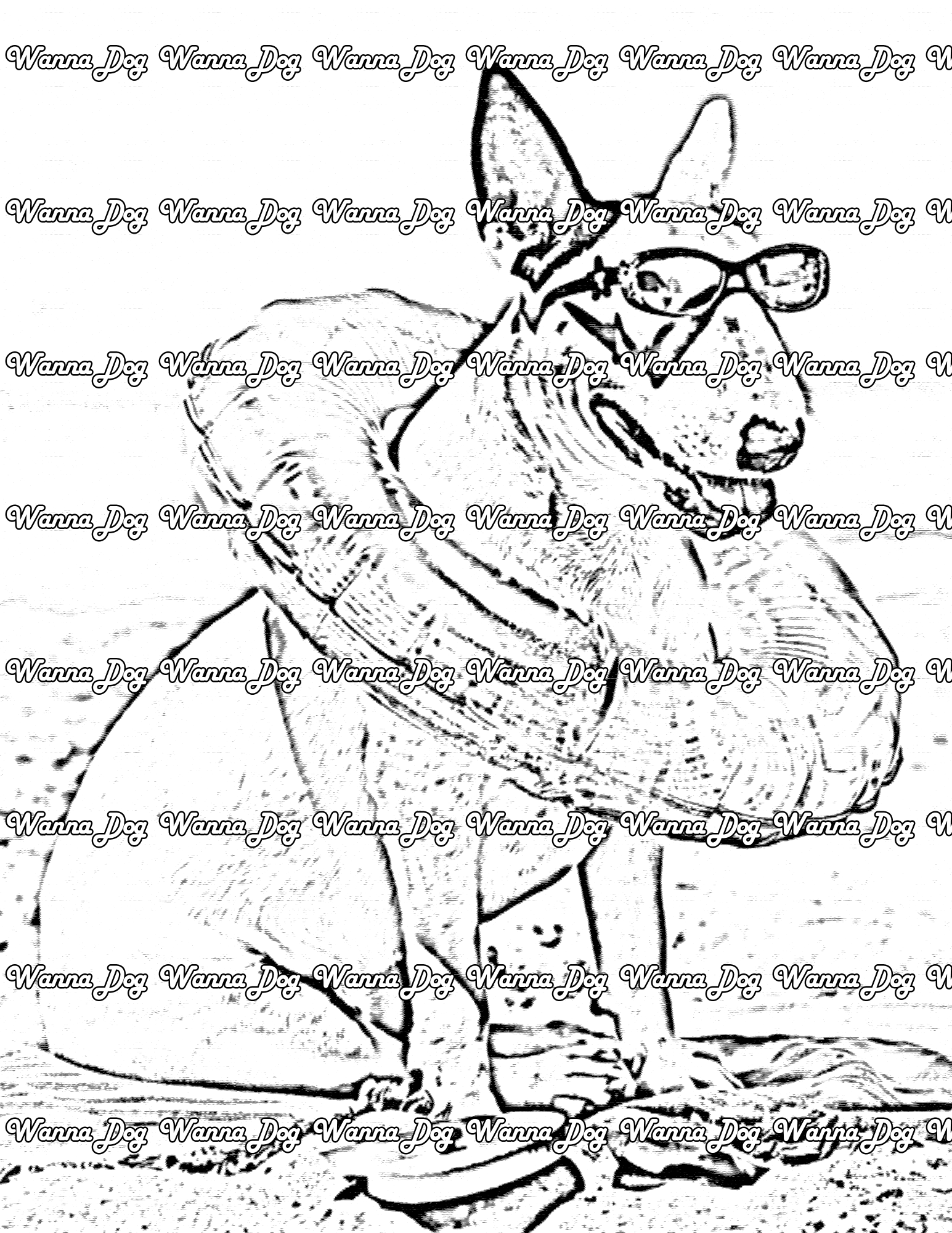 Bull Terrier Coloring Page of a Bull Terrier at the beach