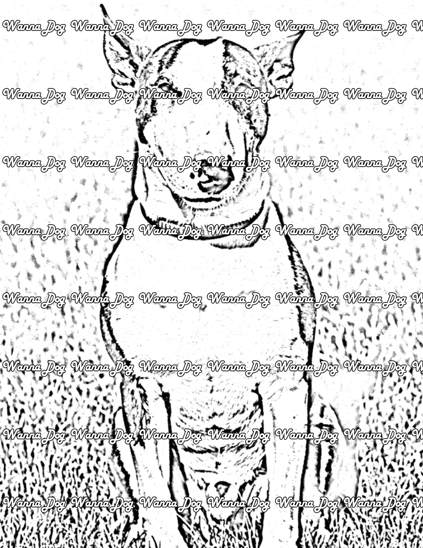 Bull Terrier Coloring Page of a Bull Terrier sitting in the grass