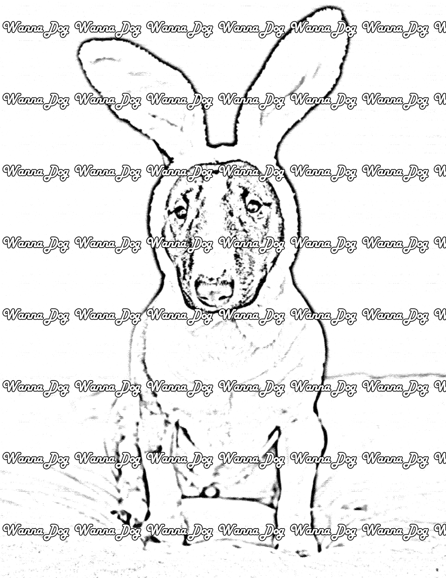 Bull Terrier Coloring Page of a Bull Terrier wearing bunny ears