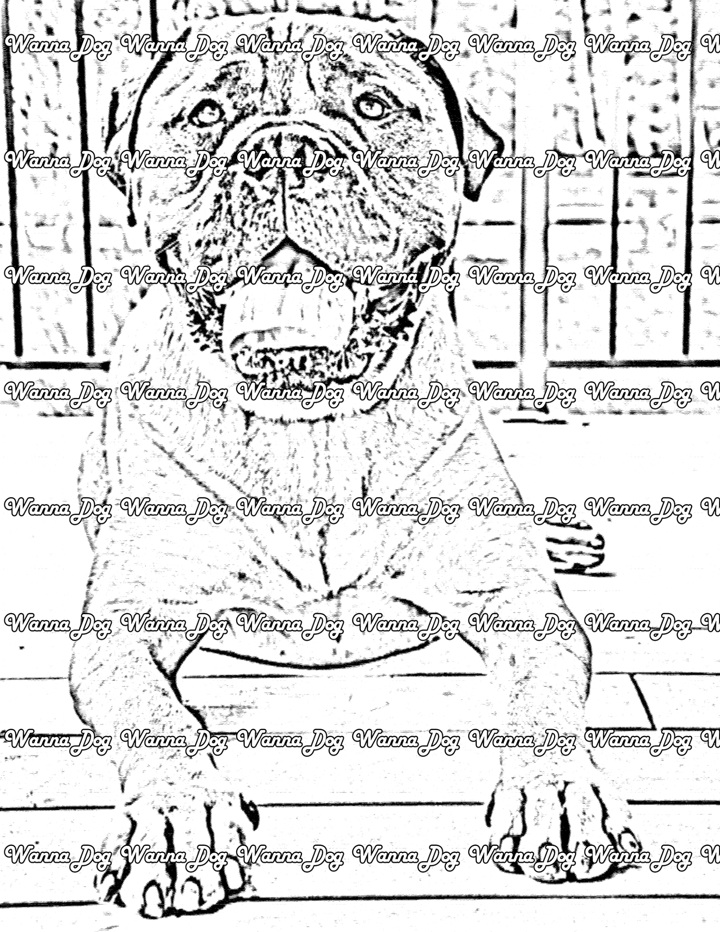 Bullmastiff Coloring Page of a Bullmastiff sitting a deck