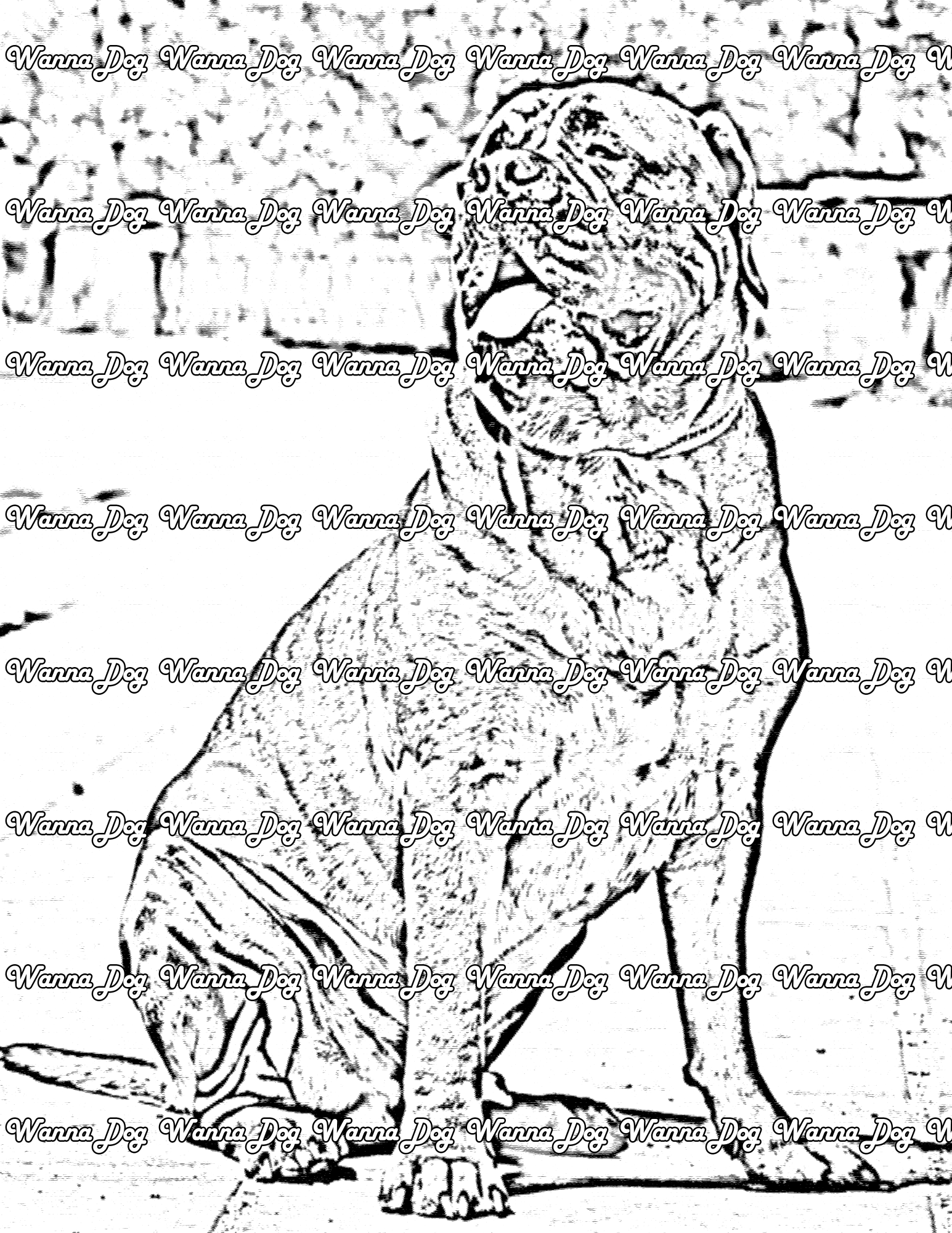 Bullmastiff Coloring Page of a Bullmastiff looking away from the camera