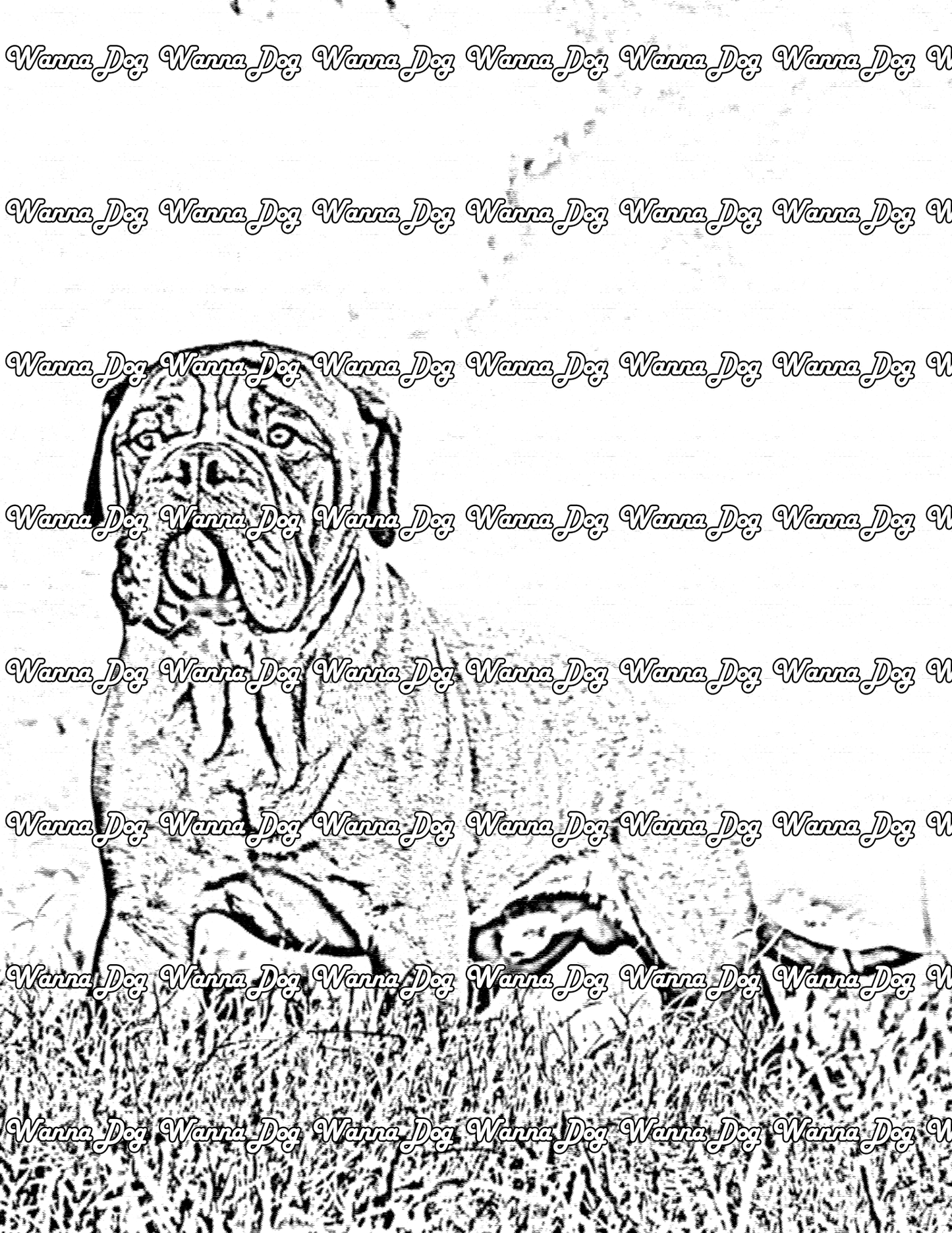 Bullmastiff Coloring Page of a Bullmastiff standing in the grass