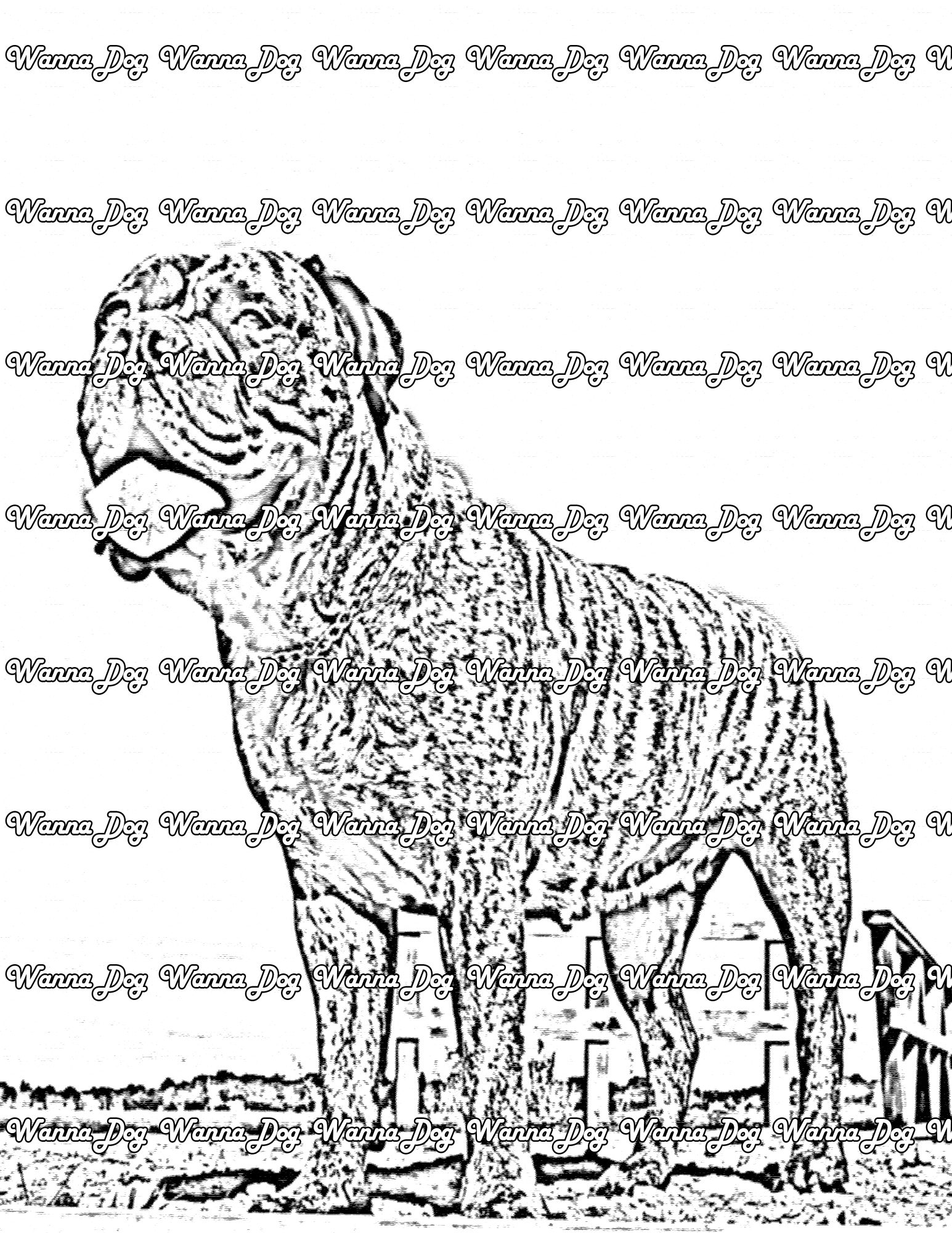 Bullmastiff Coloring Page of a Bullmastiff standing outside