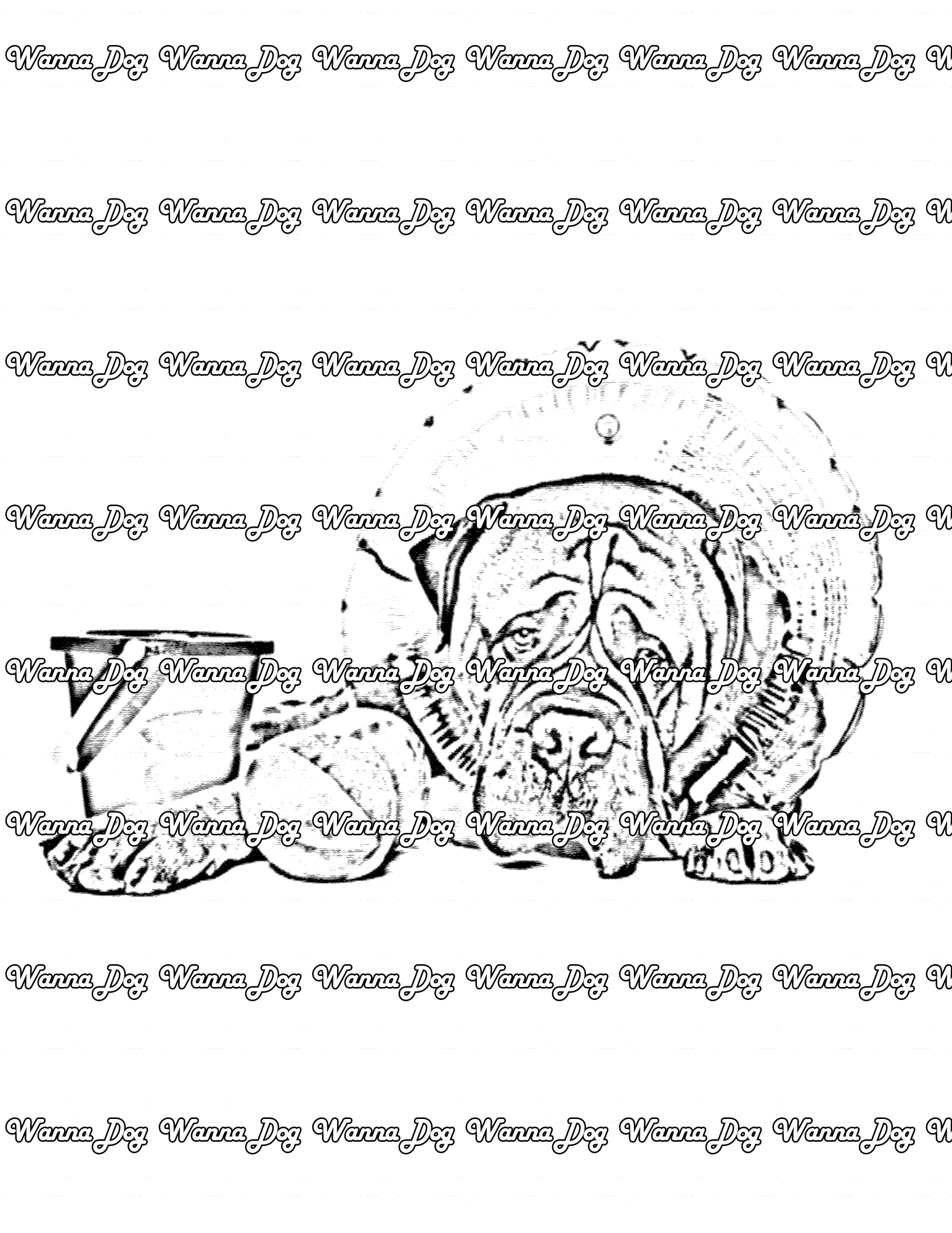 Bullmastiff Coloring Page of a Bullmastiff ready for the beach