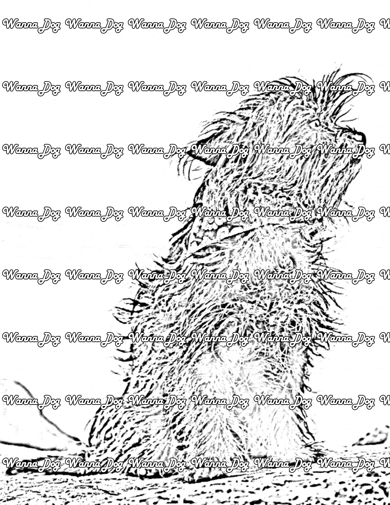 Cairn Terrier Coloring Page of a Cairn Terrier sitting at the beach