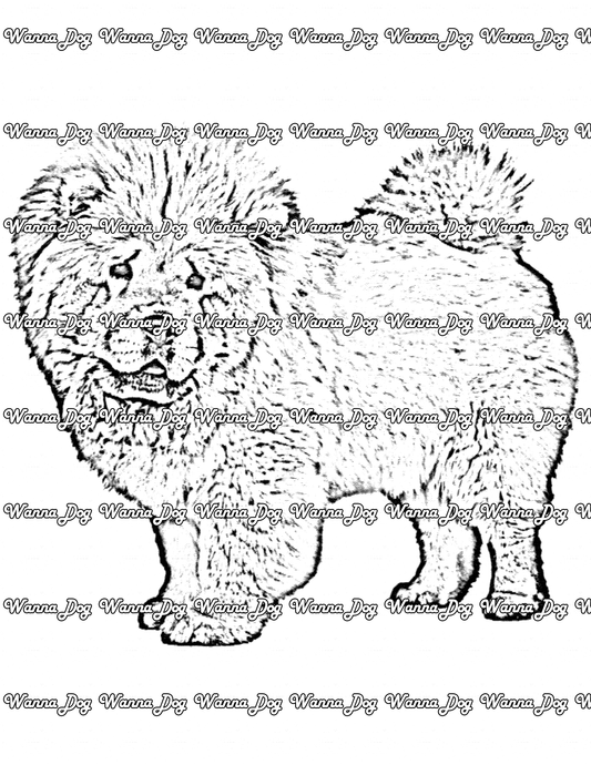 Chow Chow coloring pages of a Chow Chow posing and standing