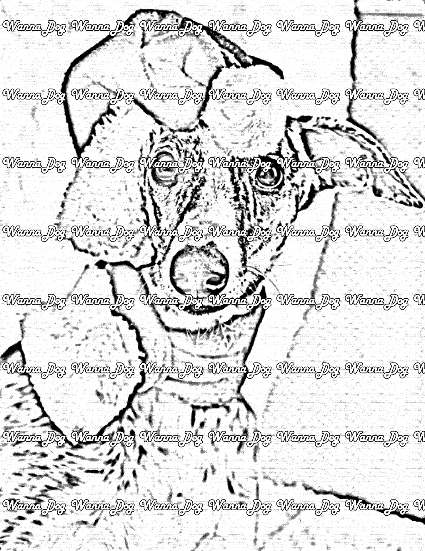 Whippet Coloring Page of a Whippet in a santa hat
