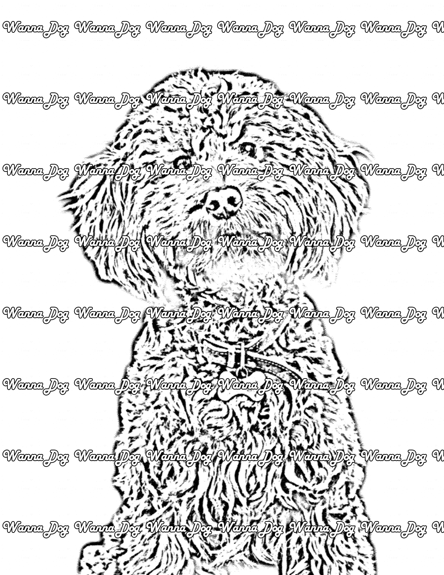 Cockapoo Coloring Page of a Cockapoo sitting and posing