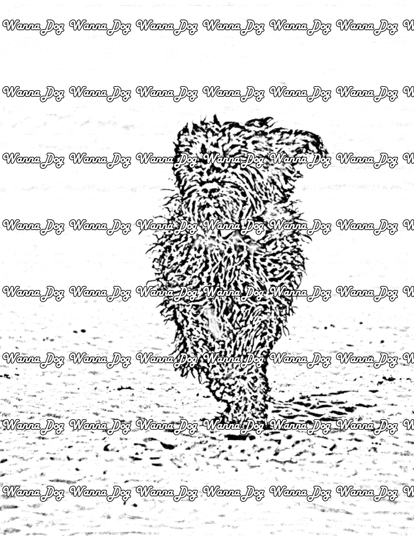 Cockapoo Coloring Page of a Cockapoo running on the beach