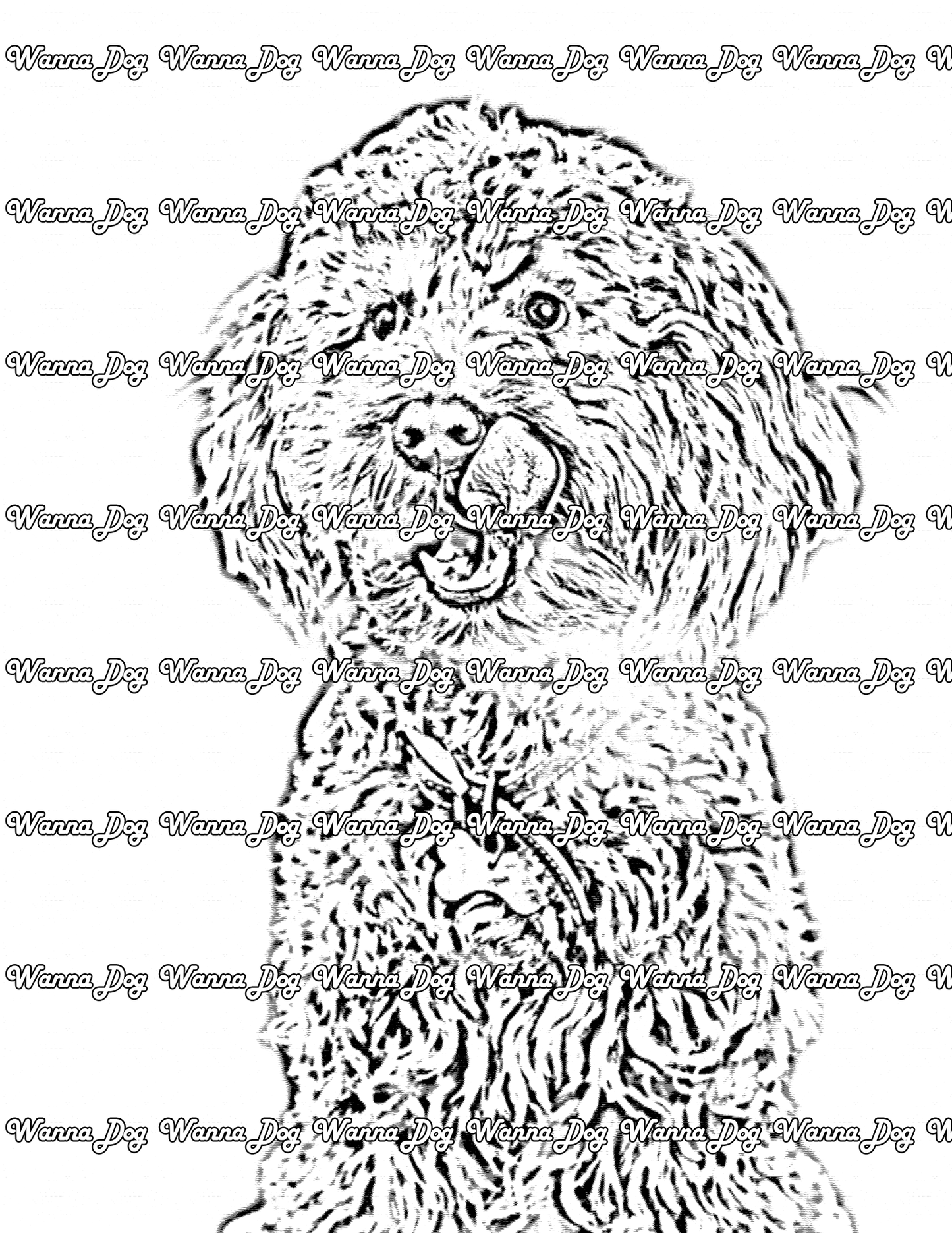 Cockapoo Coloring Page of a Cockapoo licking their nose